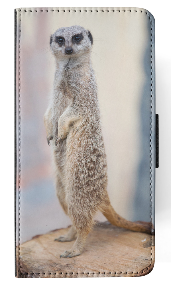 FLIP CASE FOR APPLE IPHONE|CUTE ANIMAL MEERKAT 6 - Picture 120 of 193