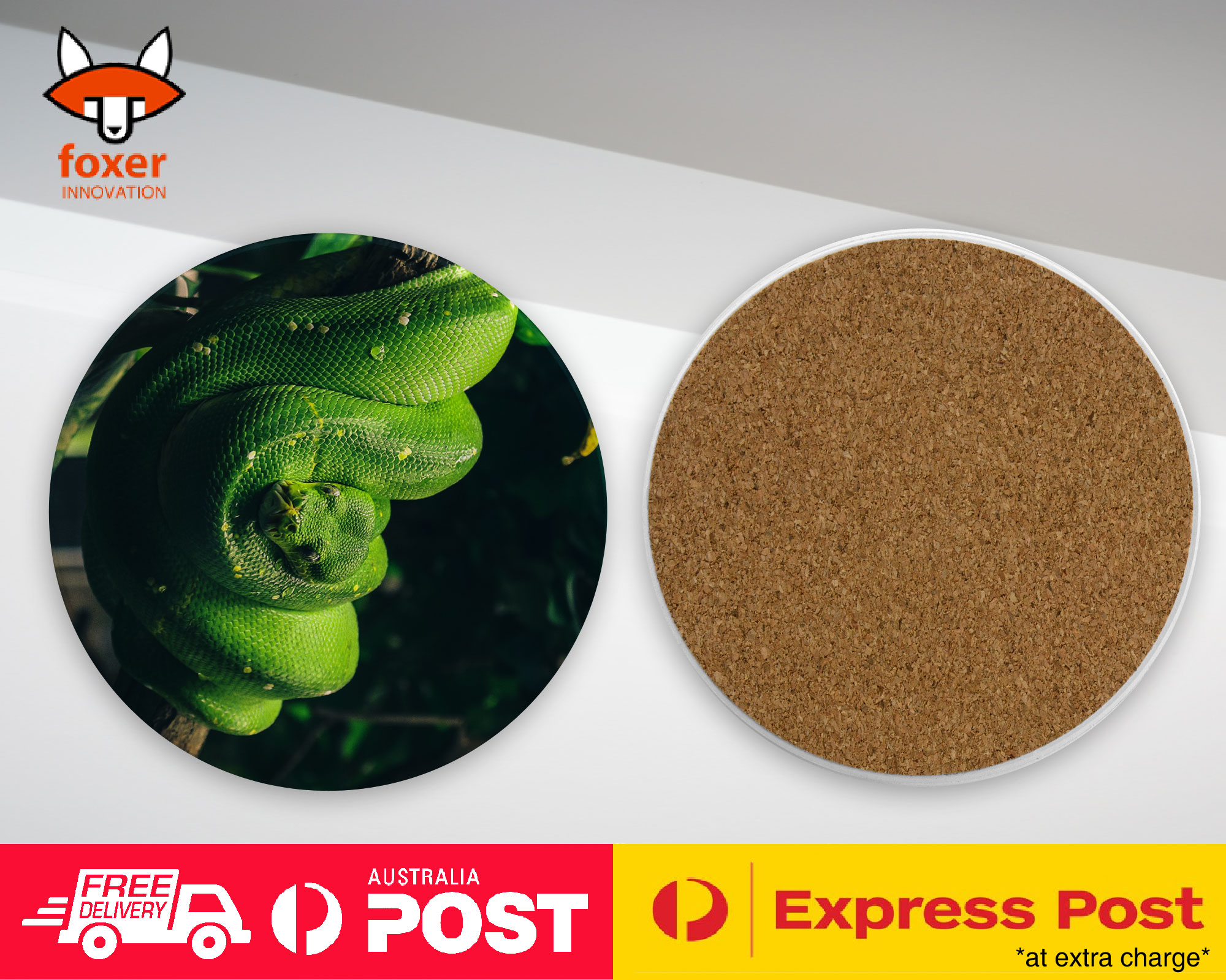 COASTER COFFEE DRINKING MAT|SNAKE HANGING ON TREE BRANCH 1