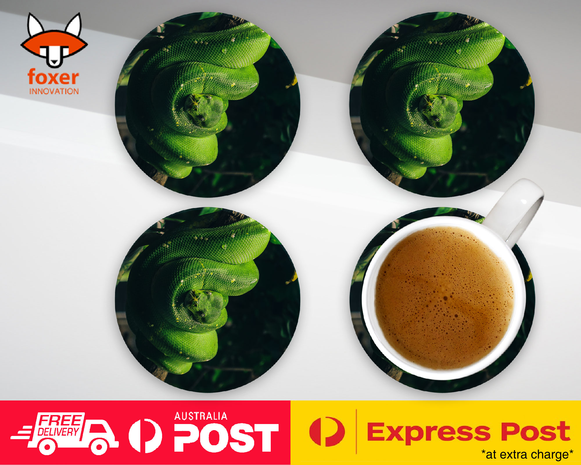 COASTER COFFEE DRINKING MAT|SNAKE HANGING ON TREE BRANCH 1