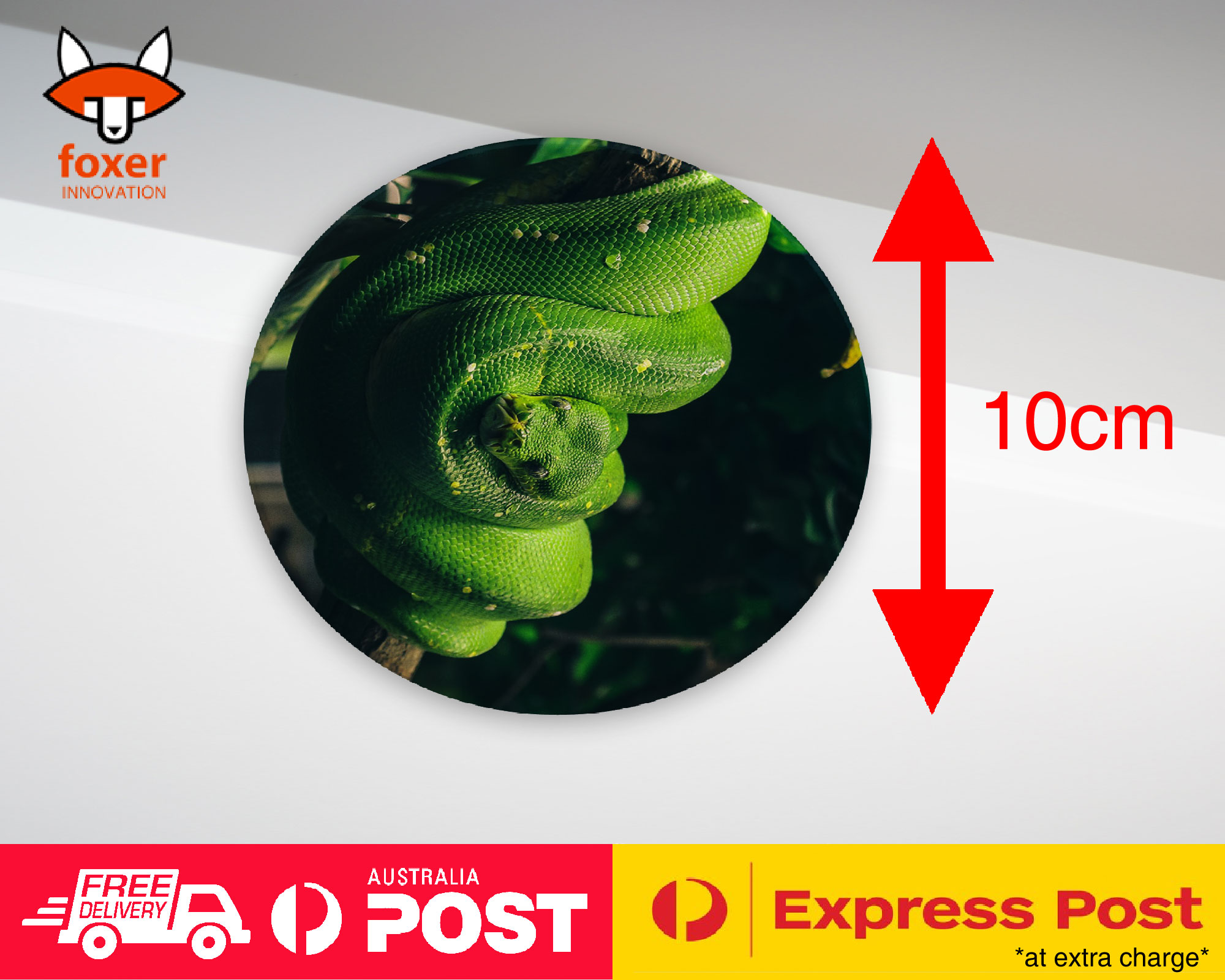 COASTER COFFEE DRINKING MAT|SNAKE HANGING ON TREE BRANCH 1