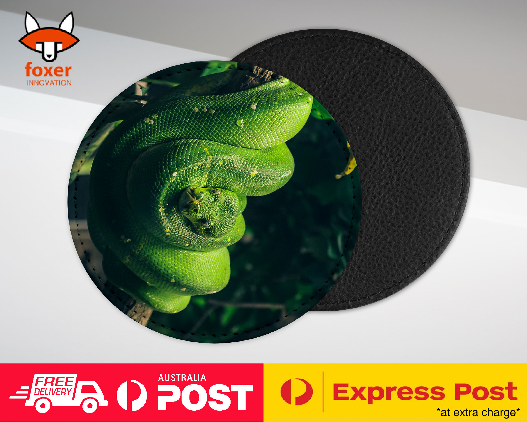 COASTER COFFEE DRINKING MAT|SNAKE HANGING ON TREE BRANCH 1
