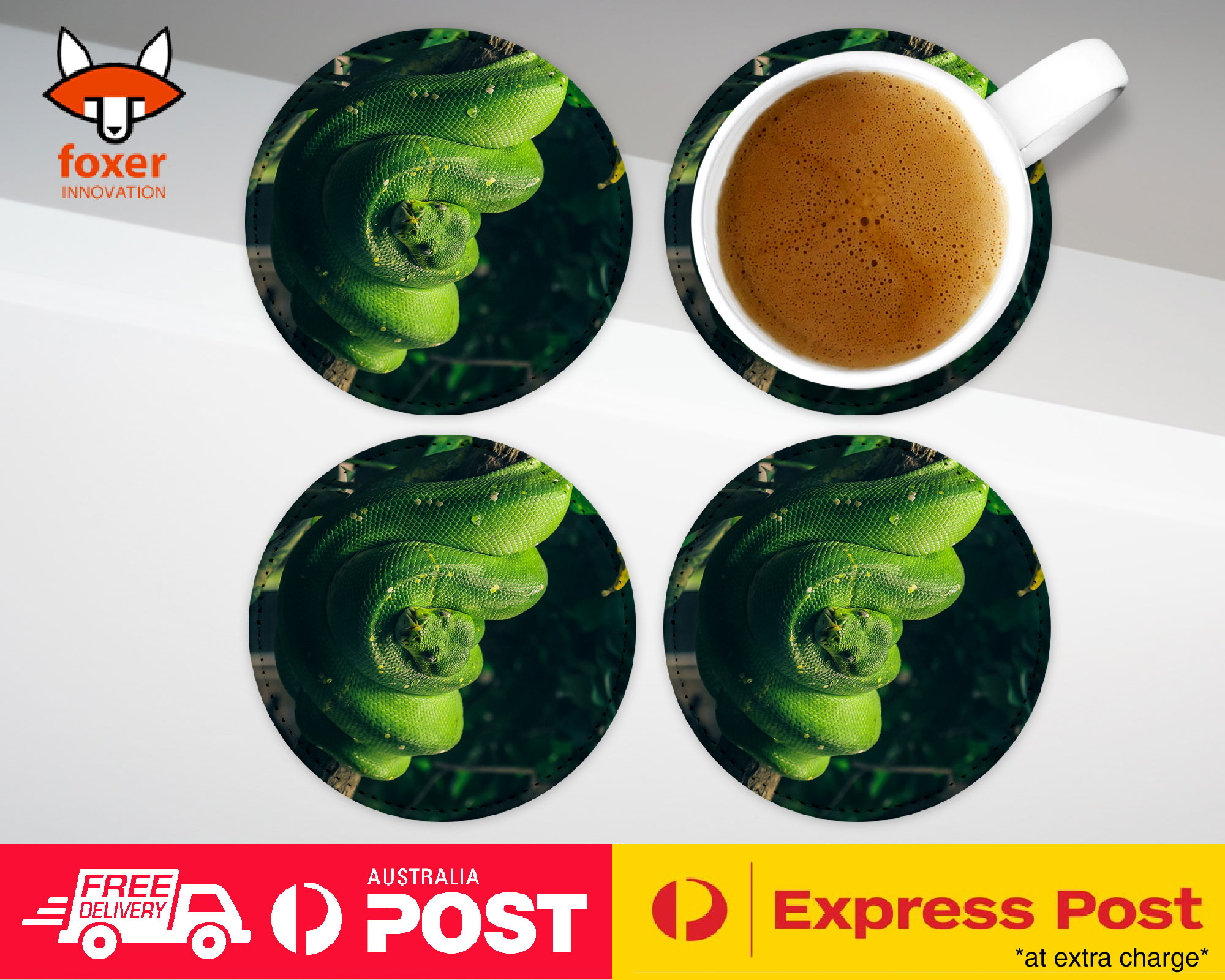 COASTER COFFEE DRINKING MAT|SNAKE HANGING ON TREE BRANCH 1