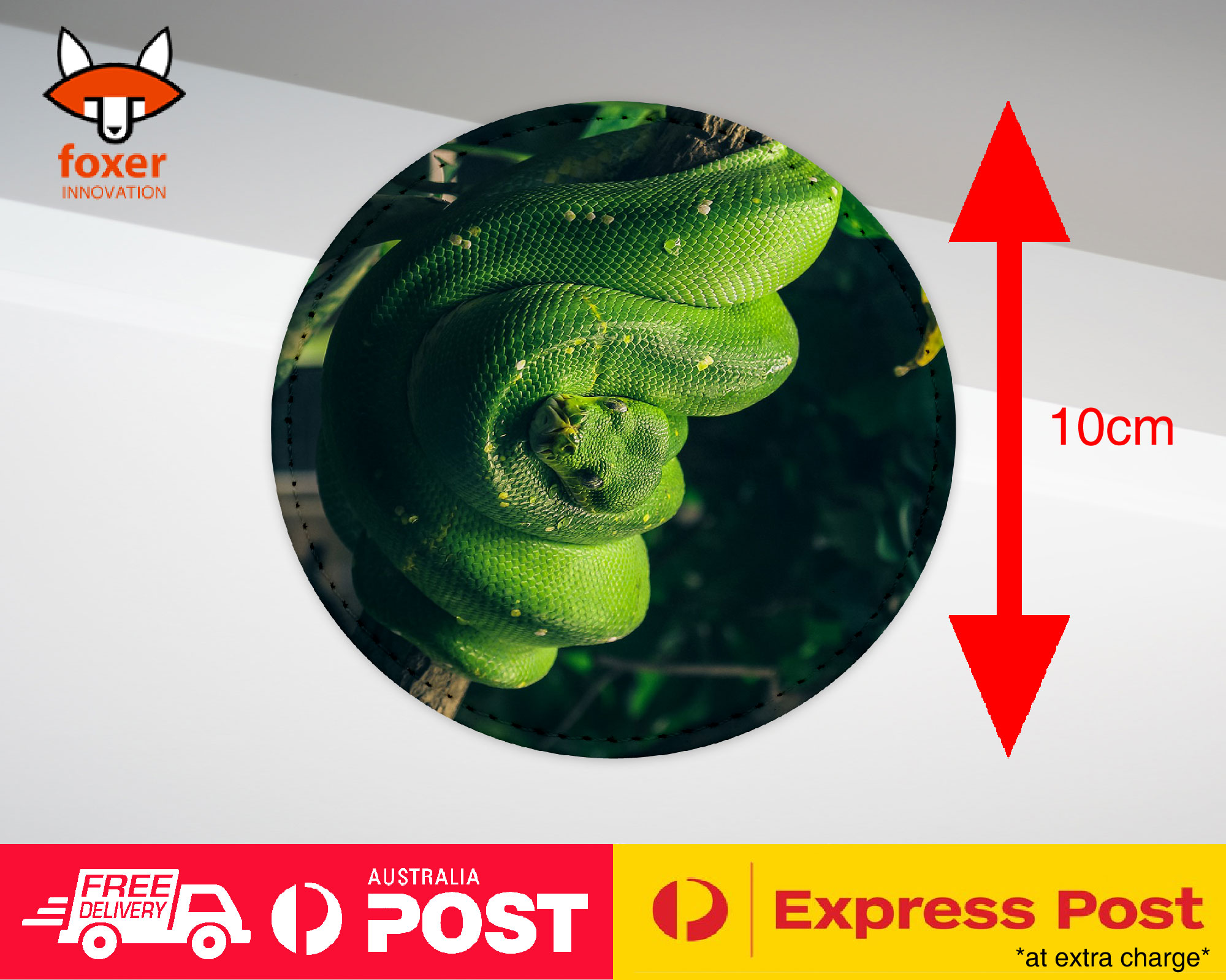 COASTER COFFEE DRINKING MAT|SNAKE HANGING ON TREE BRANCH 1