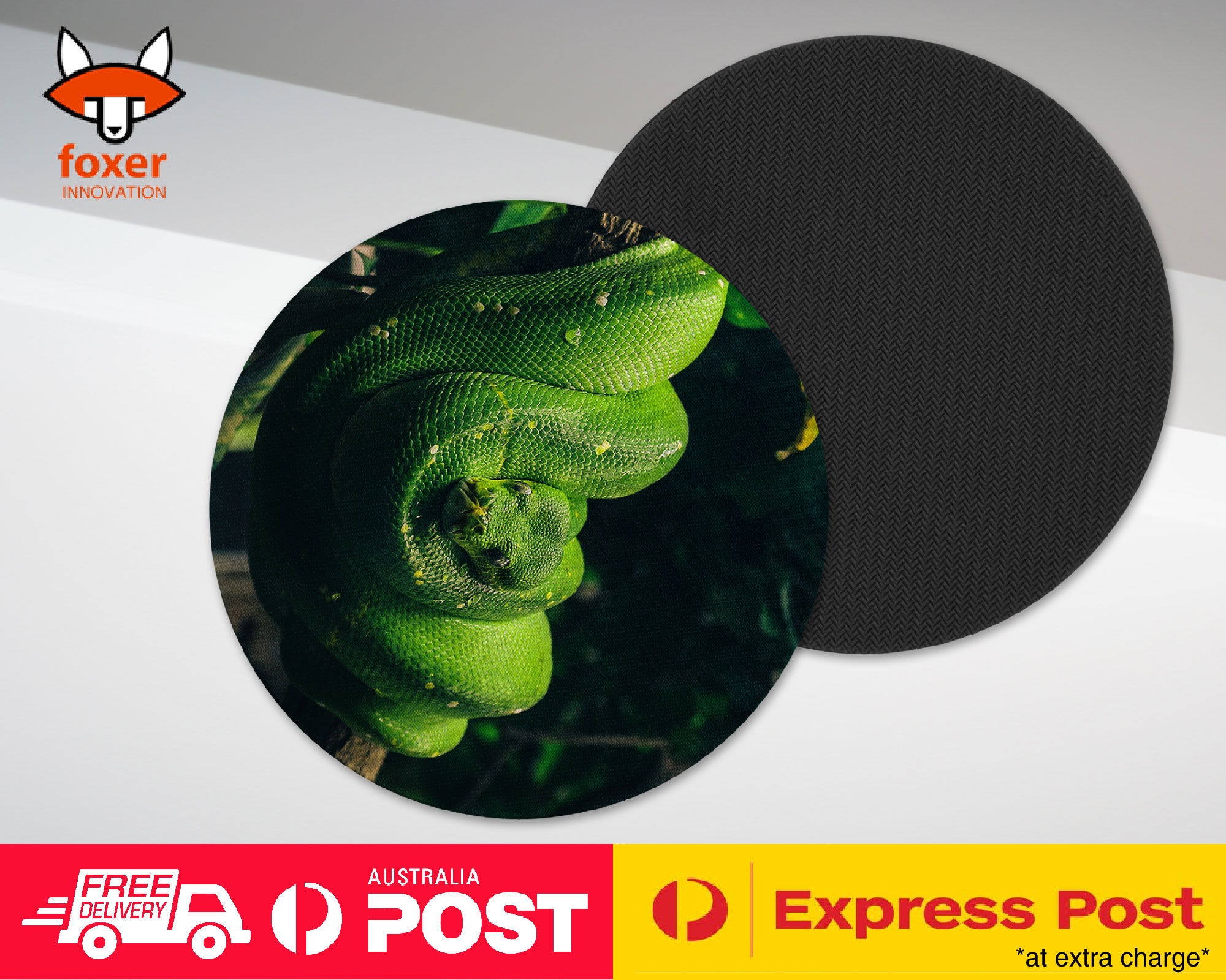 COASTER COFFEE DRINKING MAT|SNAKE HANGING ON TREE BRANCH 1