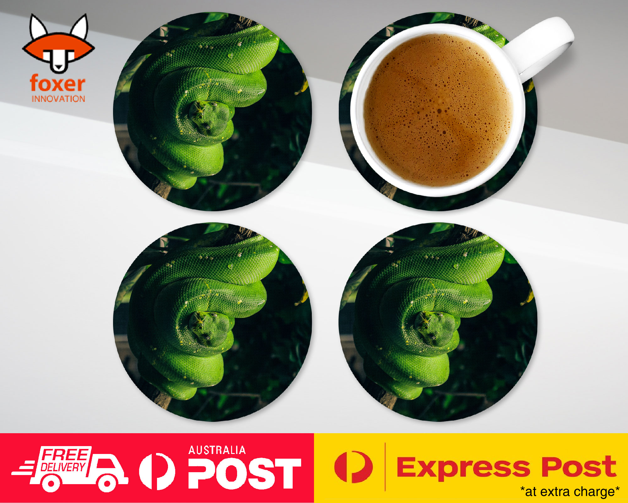 COASTER COFFEE DRINKING MAT|SNAKE HANGING ON TREE BRANCH 1