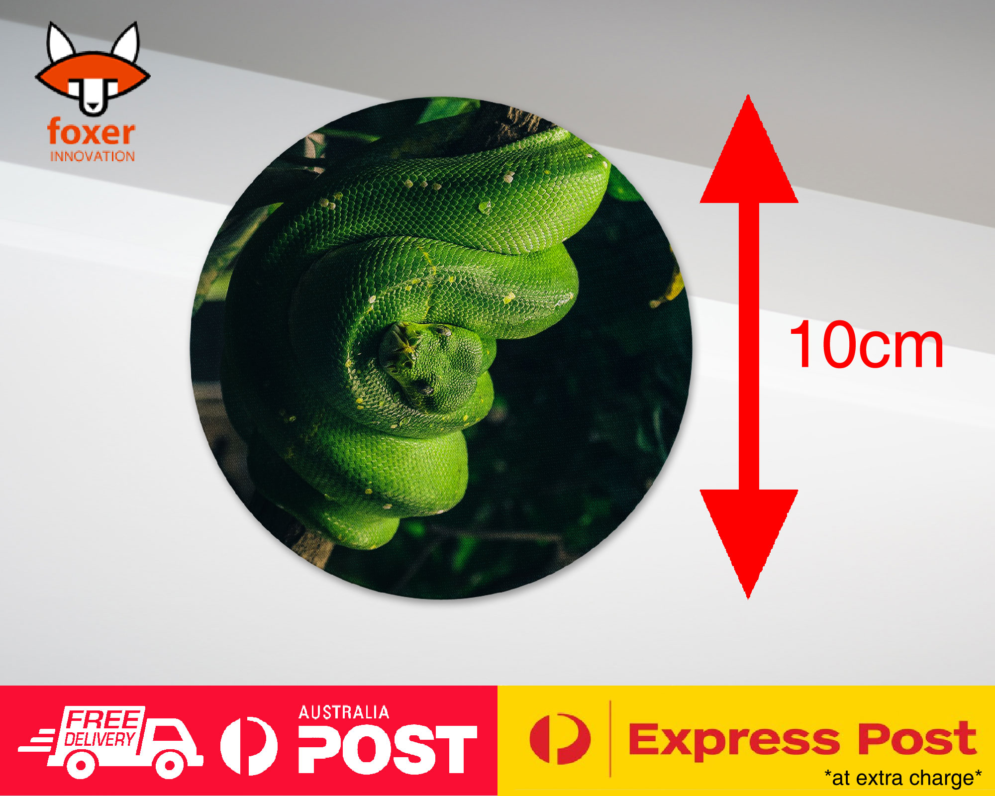 COASTER COFFEE DRINKING MAT|SNAKE HANGING ON TREE BRANCH 1