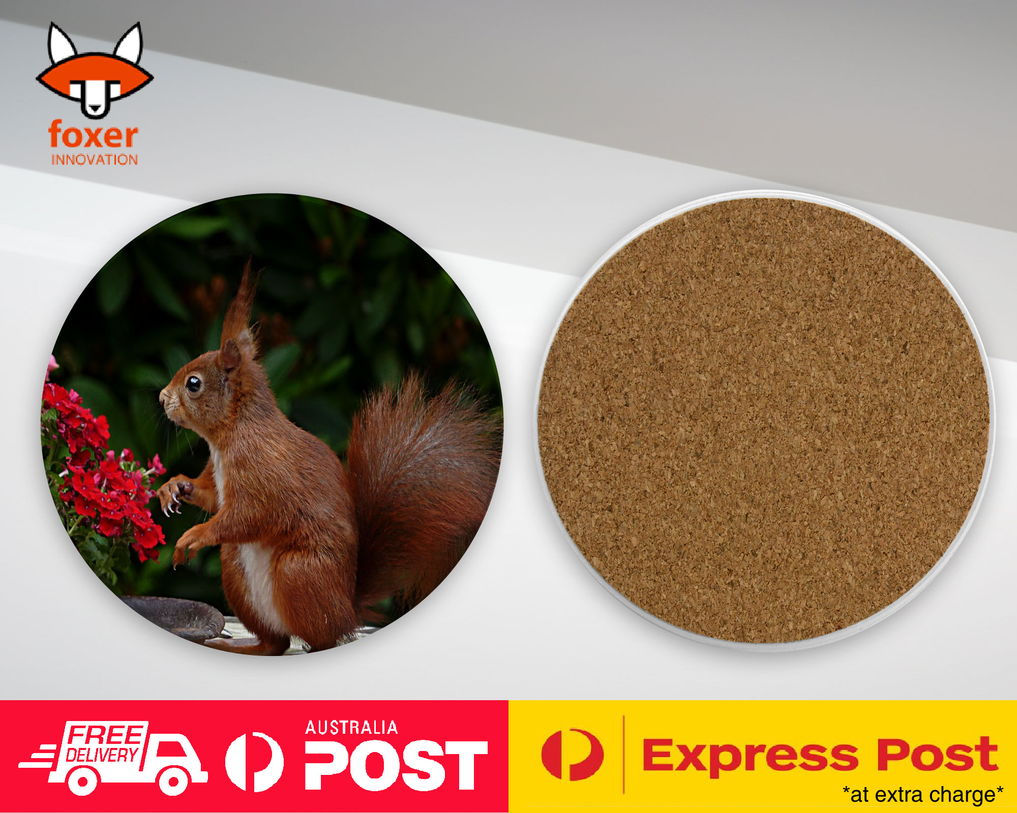 COASTER COFFEE DRINKING MAT|CUTE ADORABLE SQUIRREL RODENT