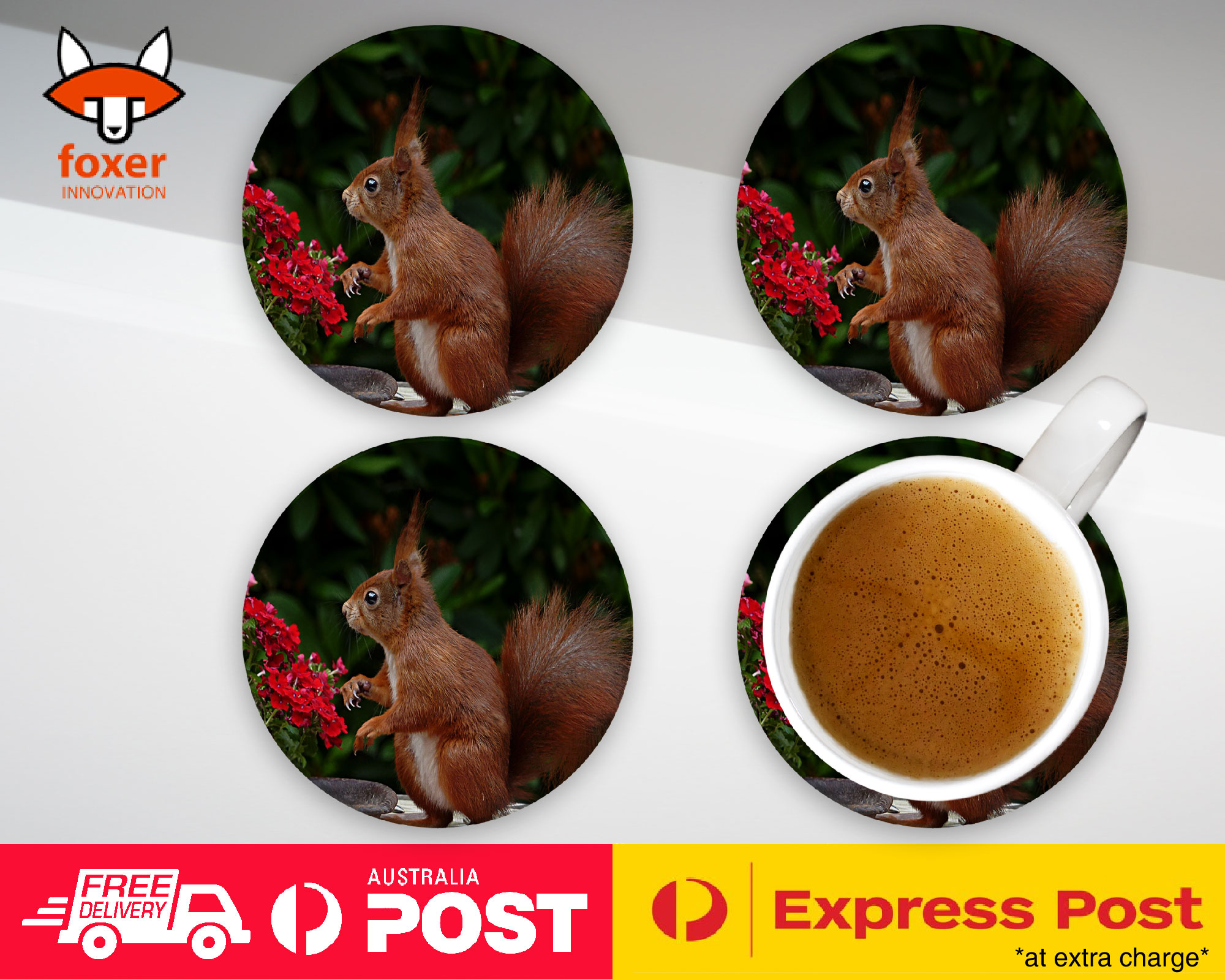 COASTER COFFEE DRINKING MAT|CUTE ADORABLE SQUIRREL RODENT