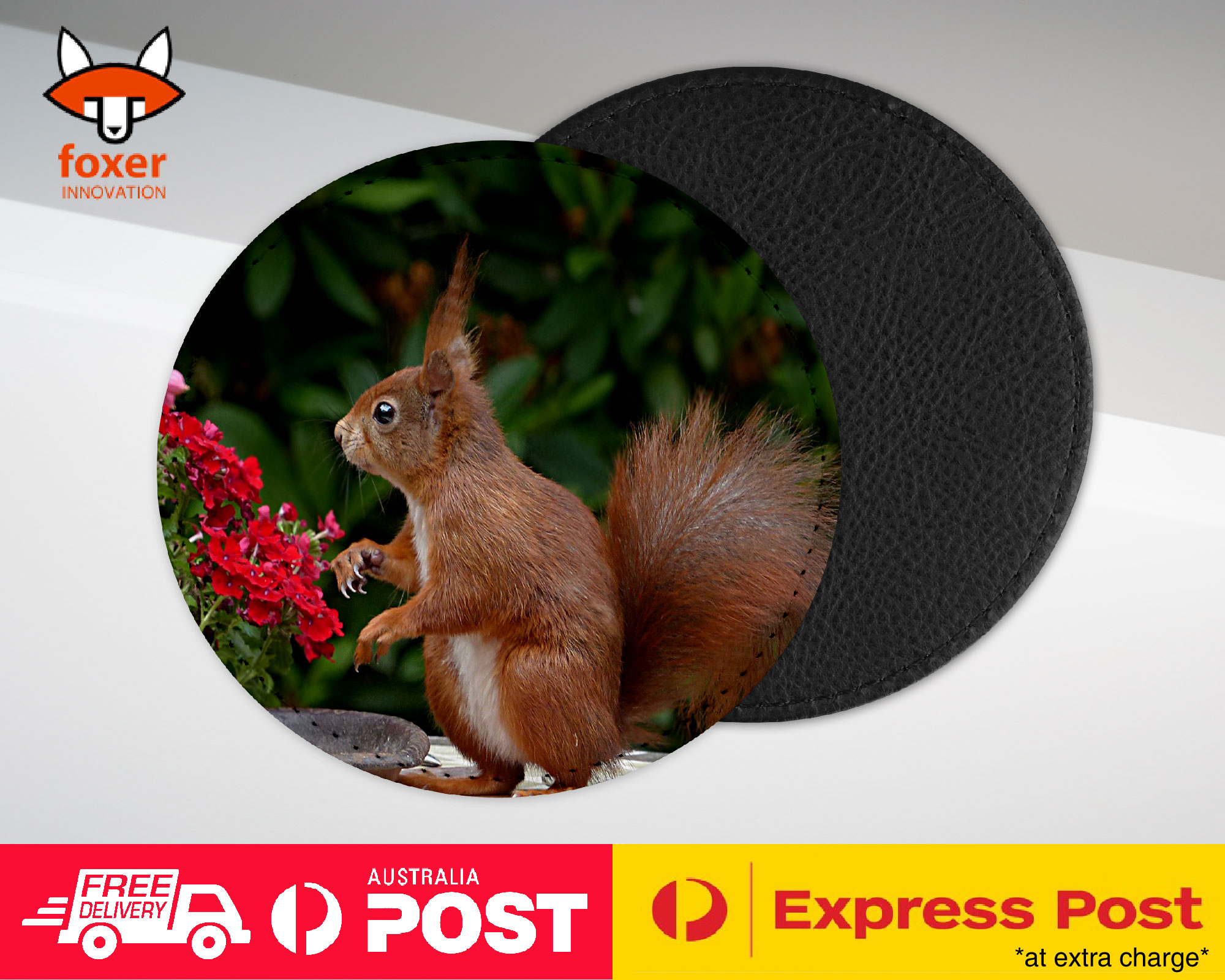 COASTER COFFEE DRINKING MAT|CUTE ADORABLE SQUIRREL RODENT