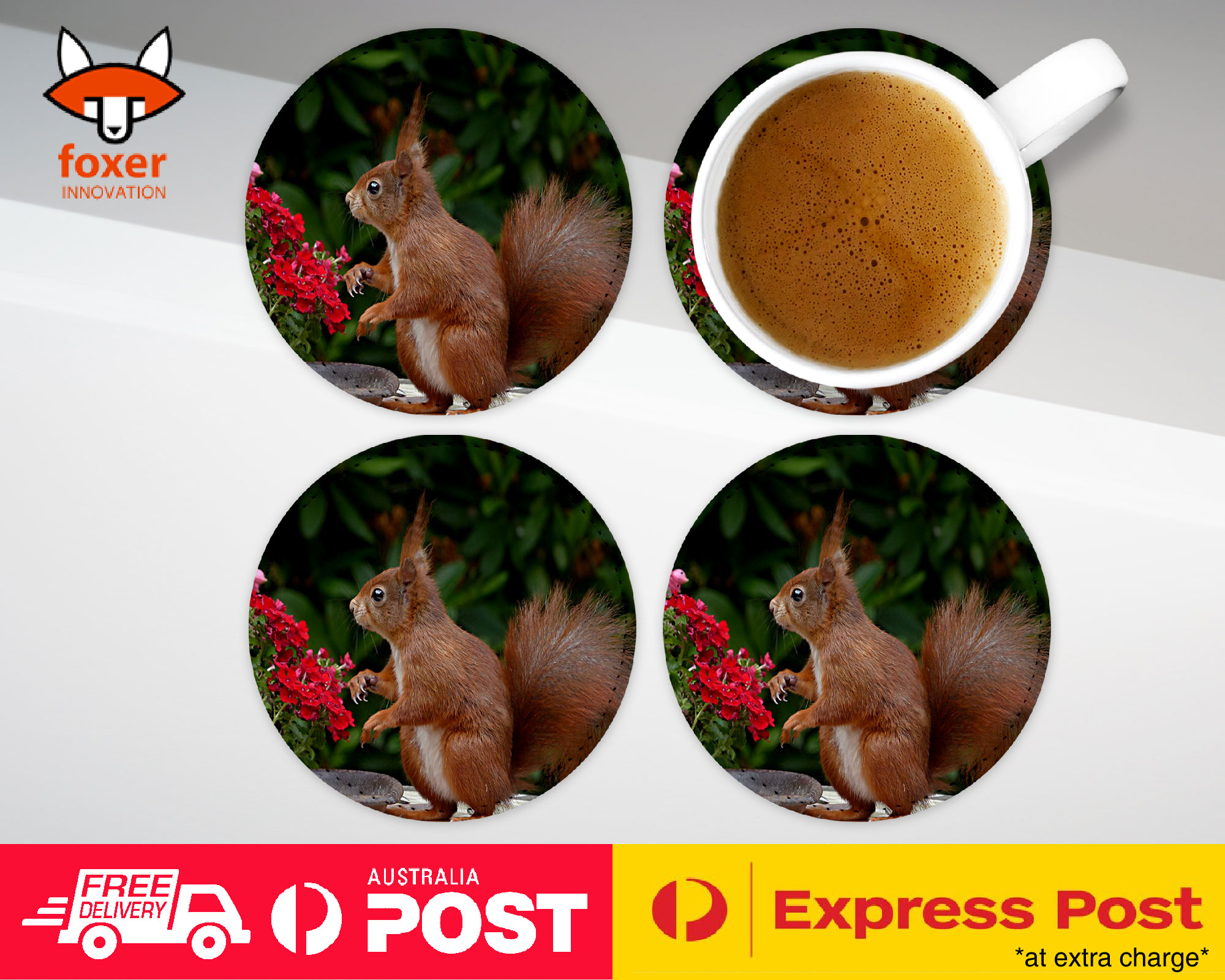COASTER COFFEE DRINKING MAT|CUTE ADORABLE SQUIRREL RODENT