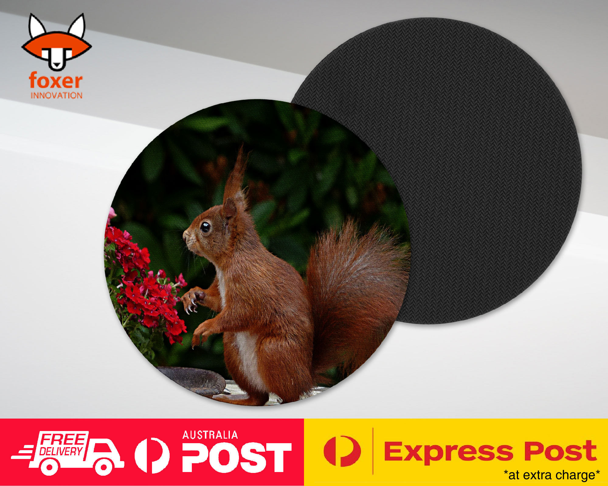 COASTER COFFEE DRINKING MAT|CUTE ADORABLE SQUIRREL RODENT