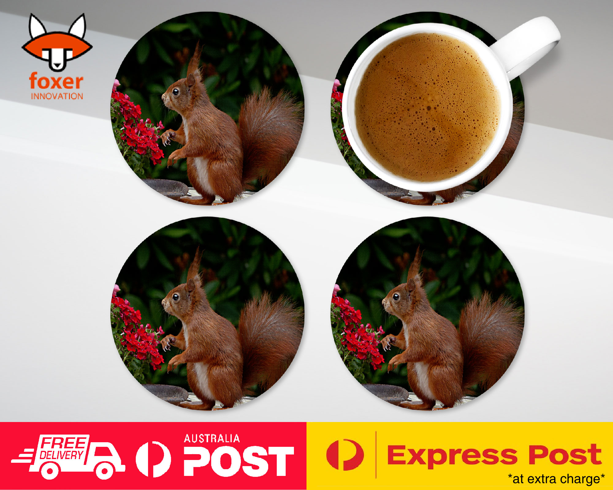 COASTER COFFEE DRINKING MAT|CUTE ADORABLE SQUIRREL RODENT