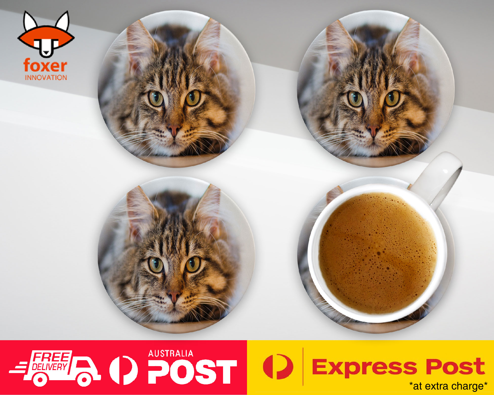 COASTER COFFEE DRINKING MAT|CUTE ADORABLE GREY TAN CAT KITTEN