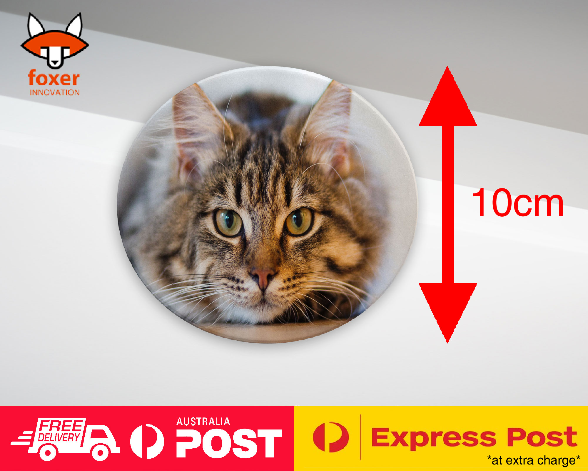 COASTER COFFEE DRINKING MAT|CUTE ADORABLE GREY TAN CAT KITTEN