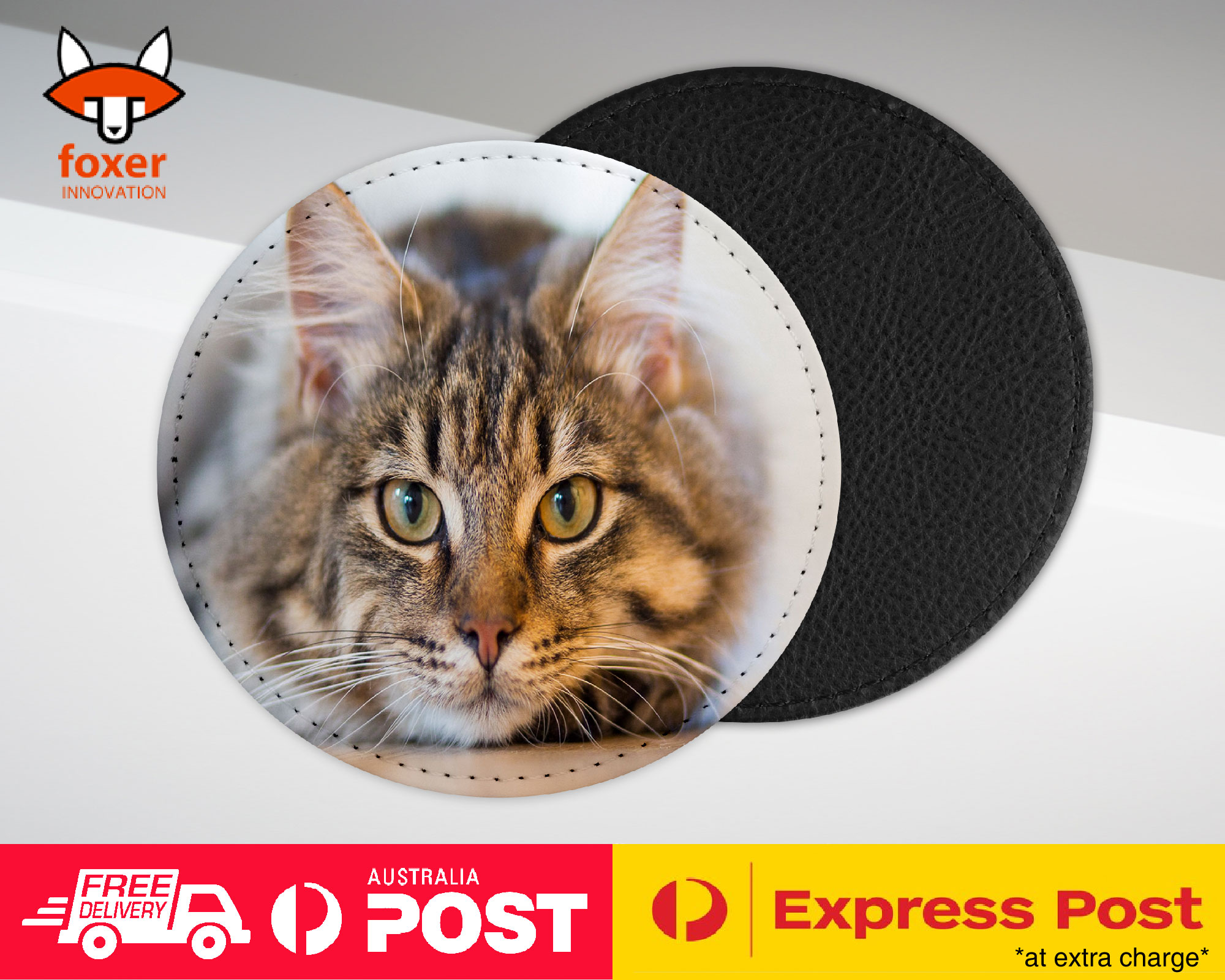 COASTER COFFEE DRINKING MAT|CUTE ADORABLE GREY TAN CAT KITTEN