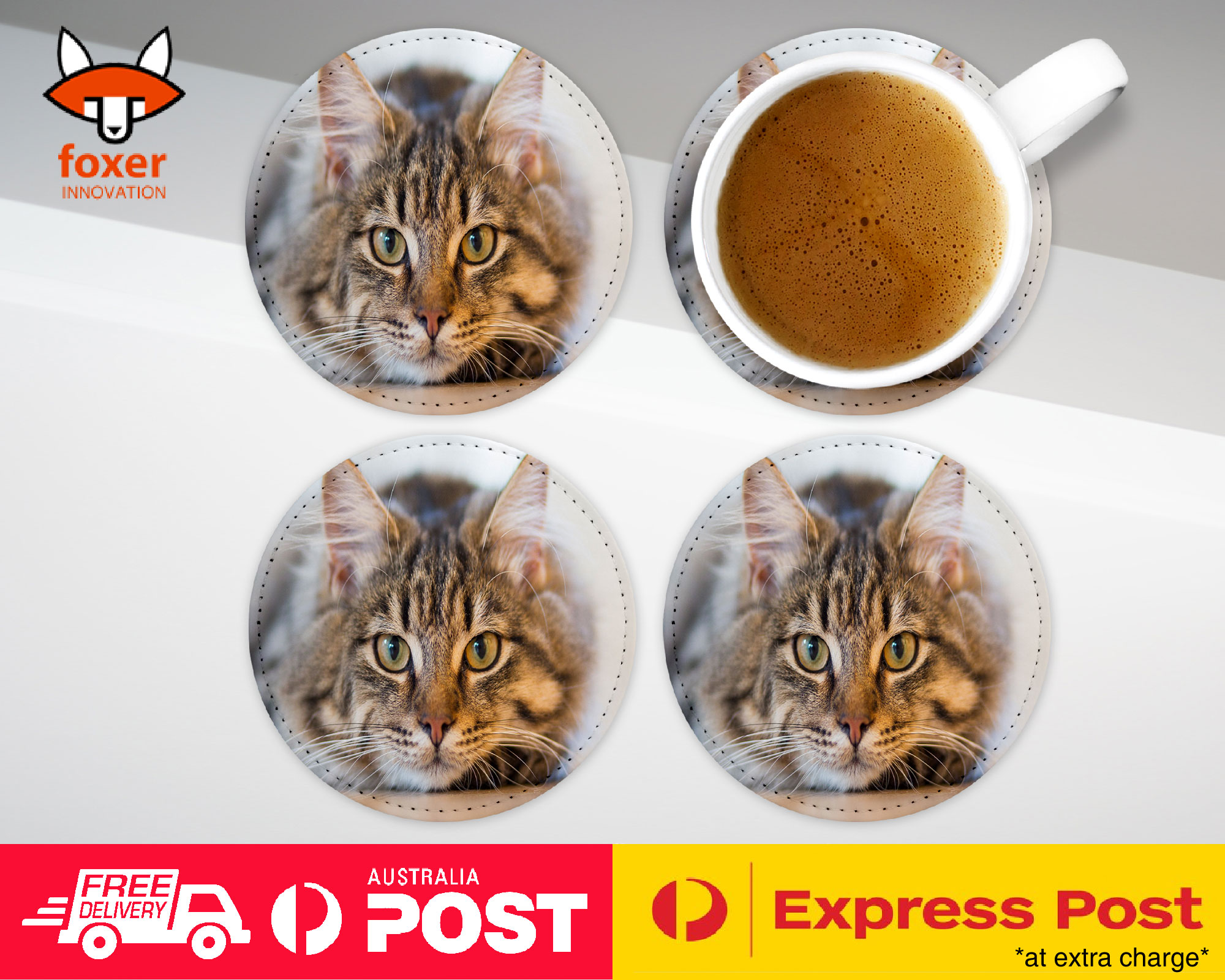COASTER COFFEE DRINKING MAT|CUTE ADORABLE GREY TAN CAT KITTEN