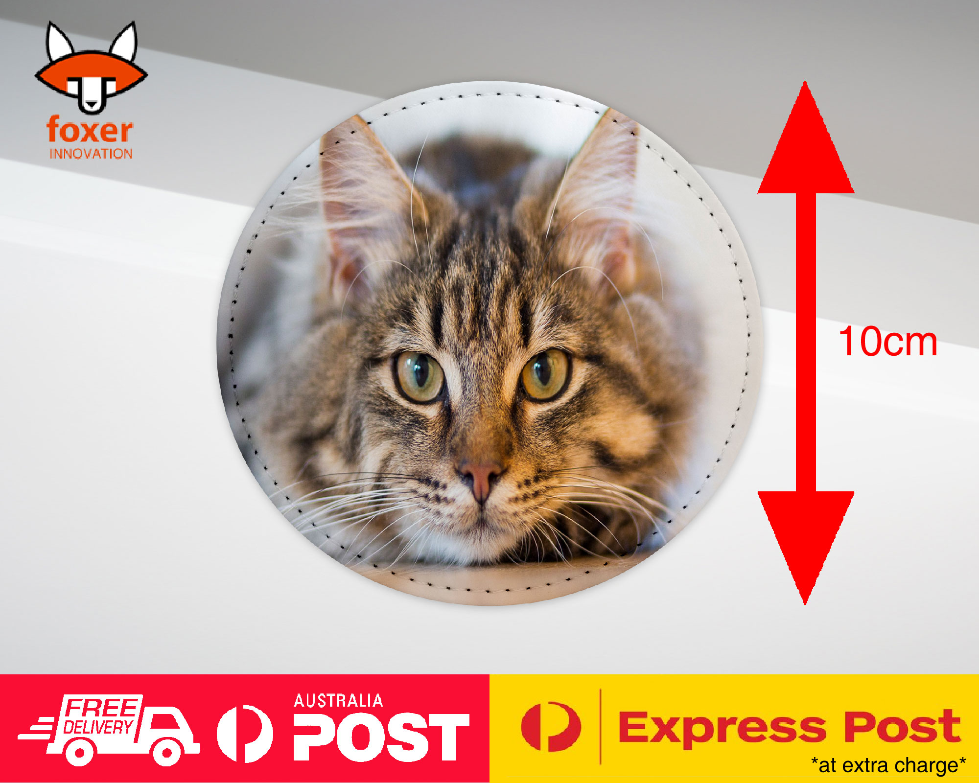 COASTER COFFEE DRINKING MAT|CUTE ADORABLE GREY TAN CAT KITTEN