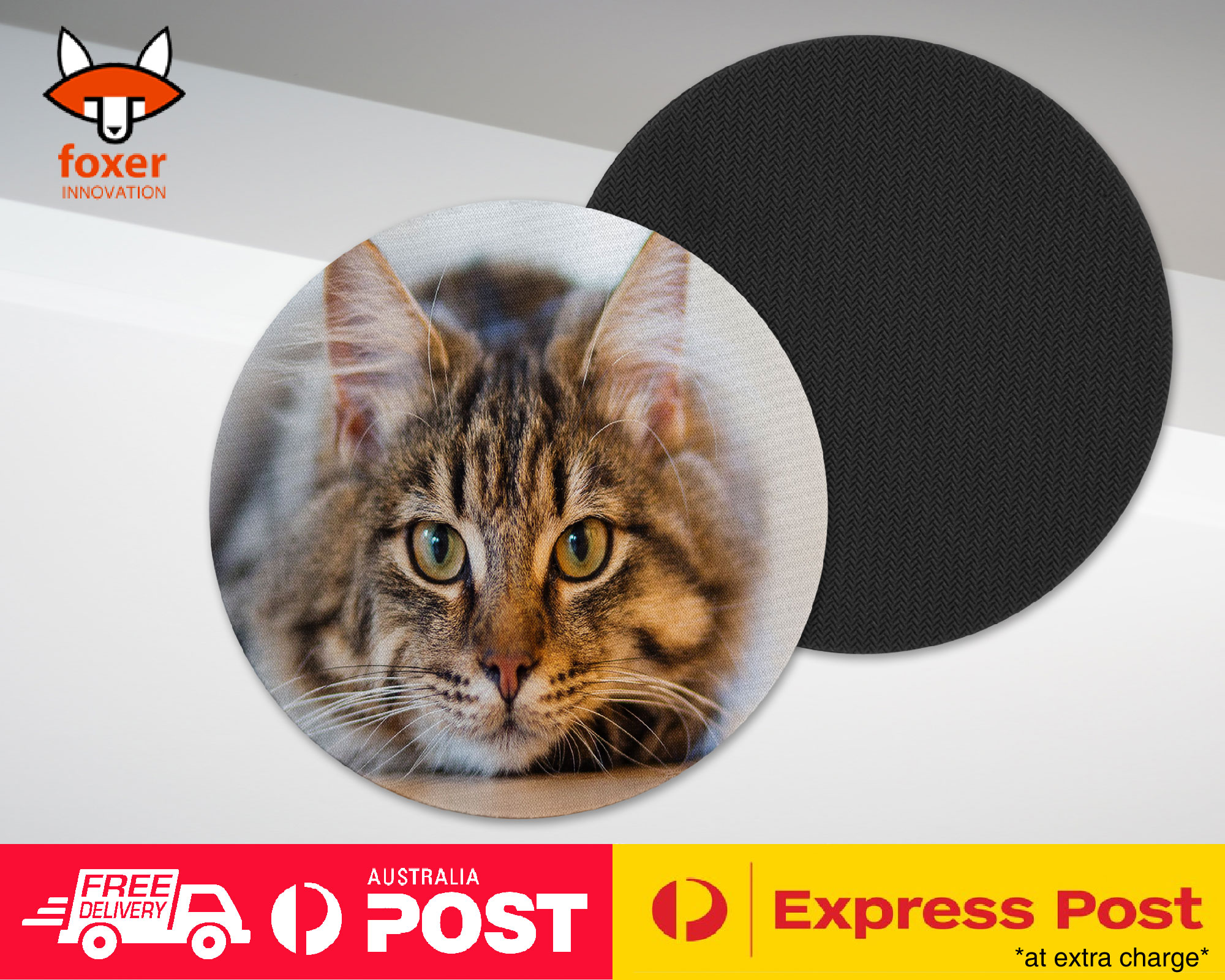 COASTER COFFEE DRINKING MAT|CUTE ADORABLE GREY TAN CAT KITTEN