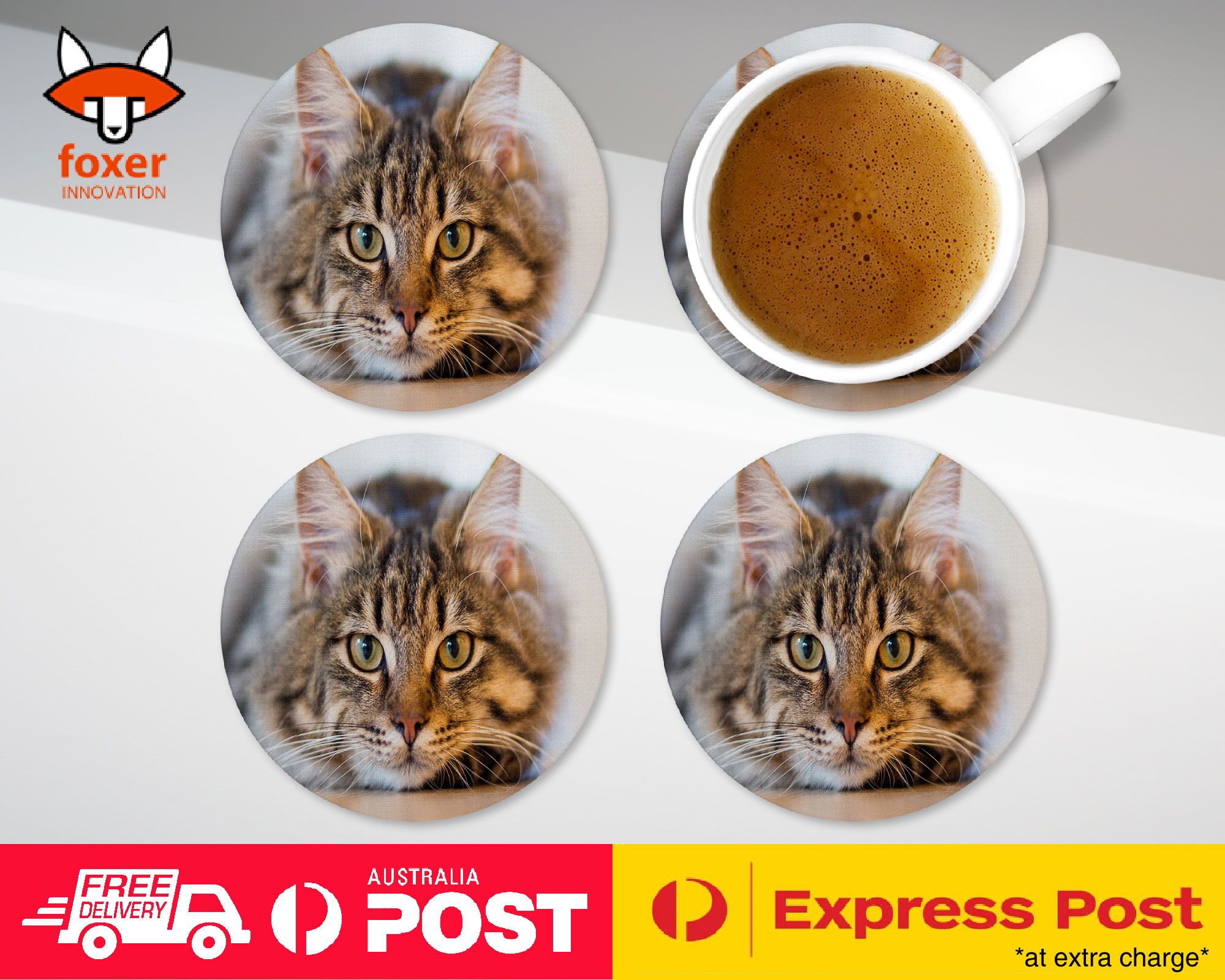COASTER COFFEE DRINKING MAT|CUTE ADORABLE GREY TAN CAT KITTEN
