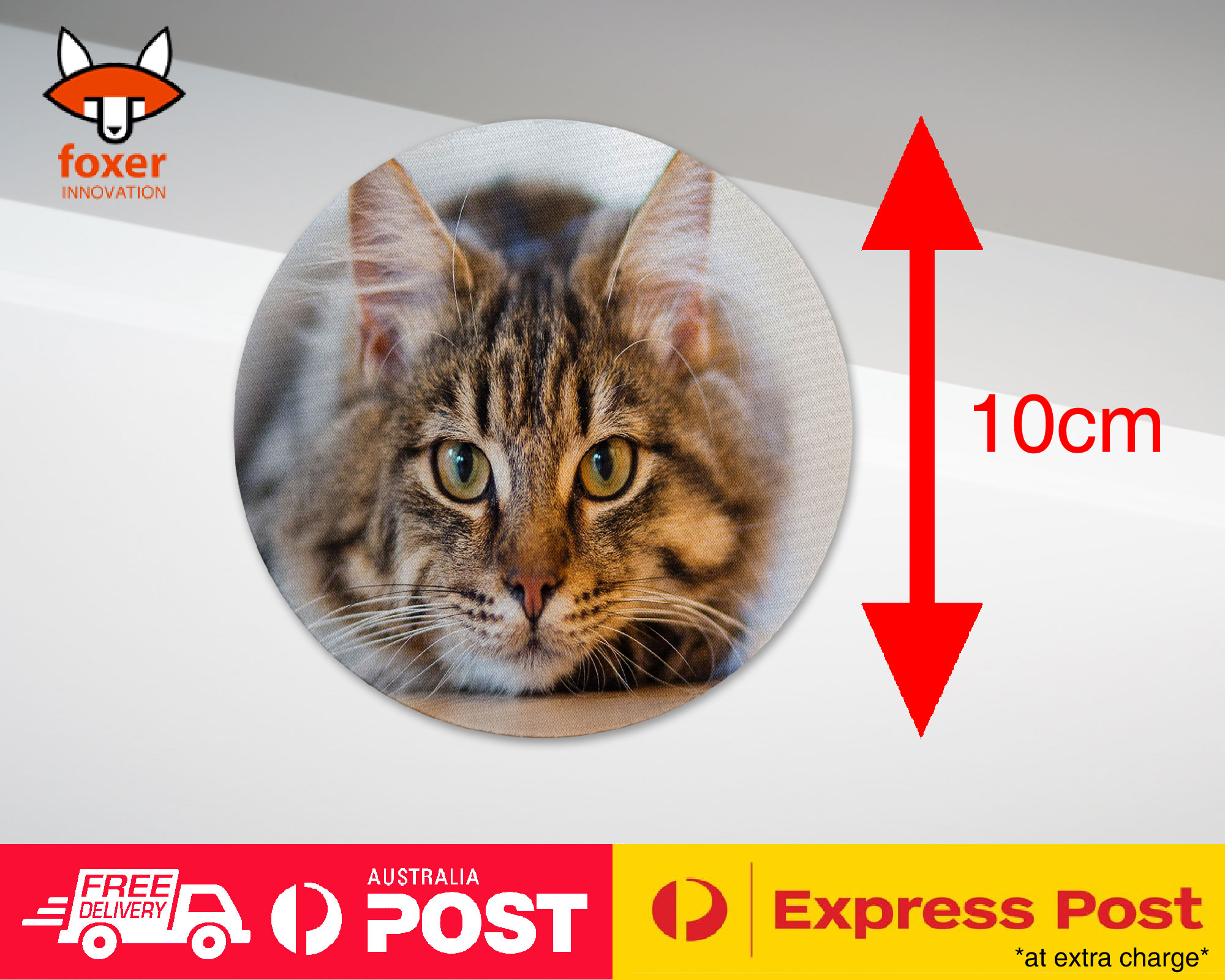 COASTER COFFEE DRINKING MAT|CUTE ADORABLE GREY TAN CAT KITTEN