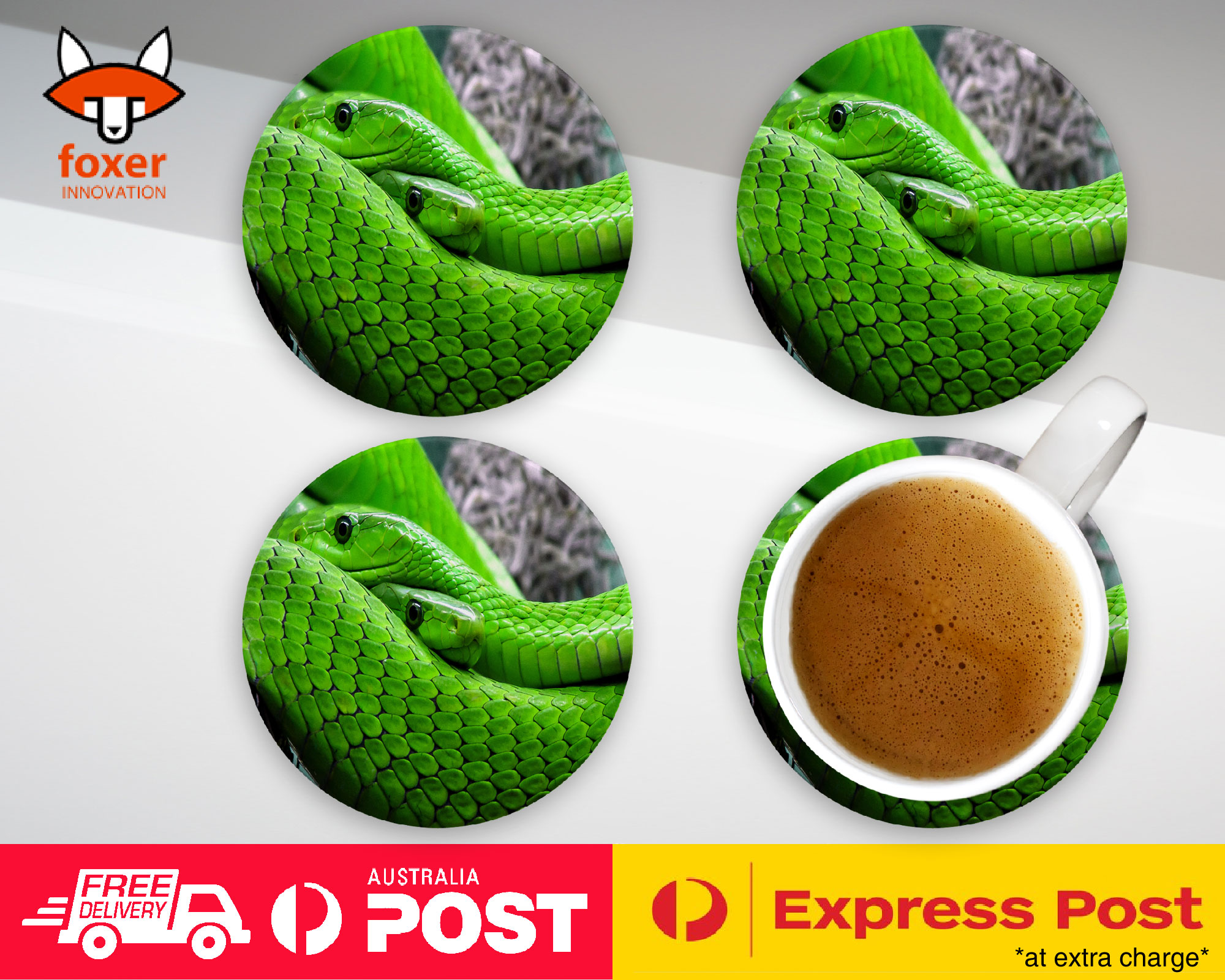 COASTER COFFEE DRINKING MAT|GREEN SLIMY REPTILE SNAKE