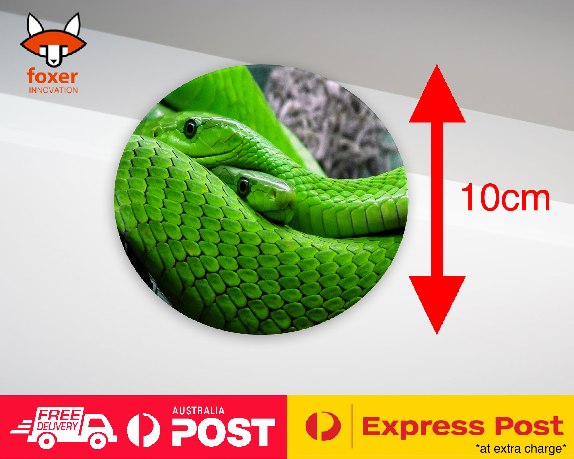 COASTER COFFEE DRINKING MAT|GREEN SLIMY REPTILE SNAKE