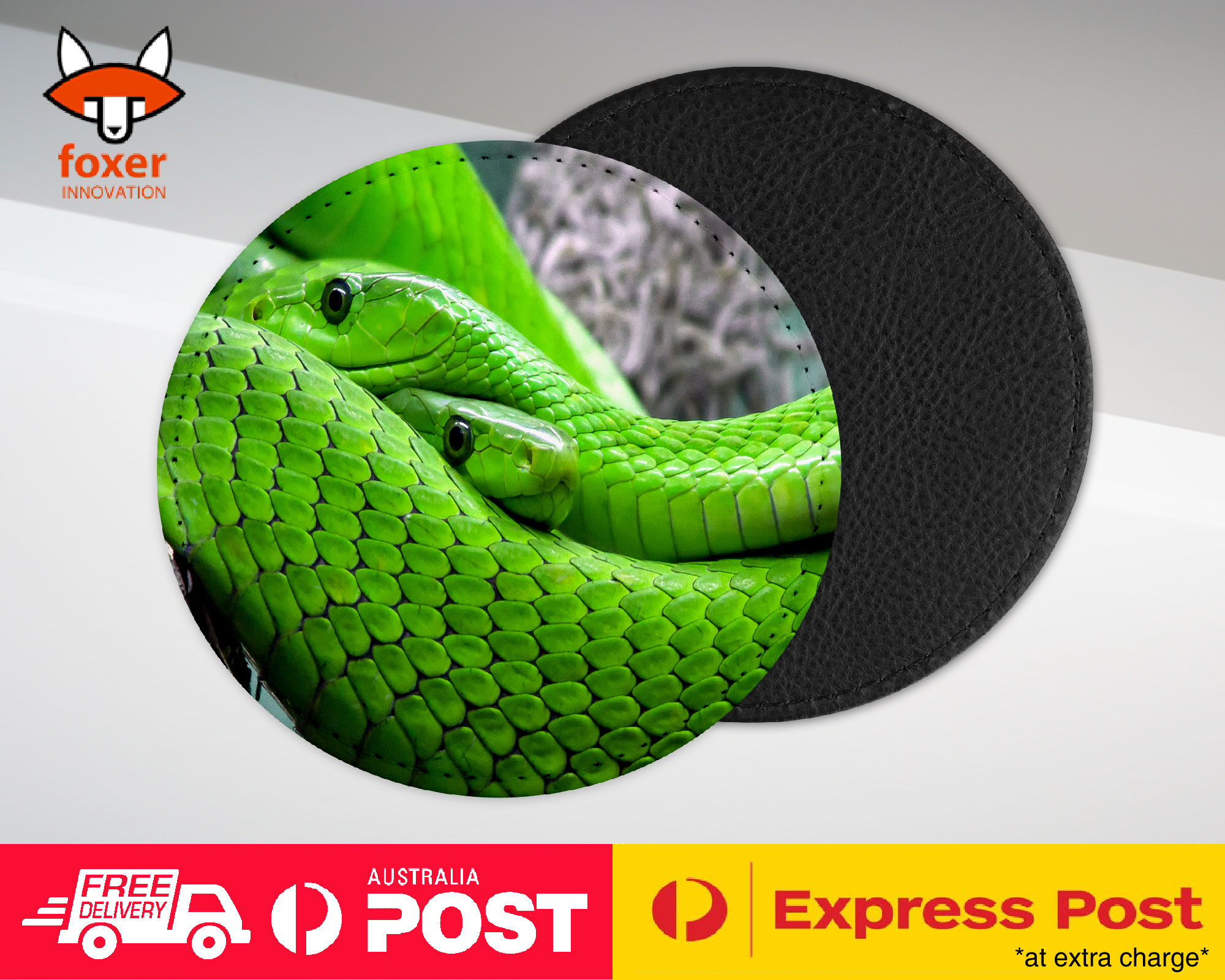 COASTER COFFEE DRINKING MAT|GREEN SLIMY REPTILE SNAKE