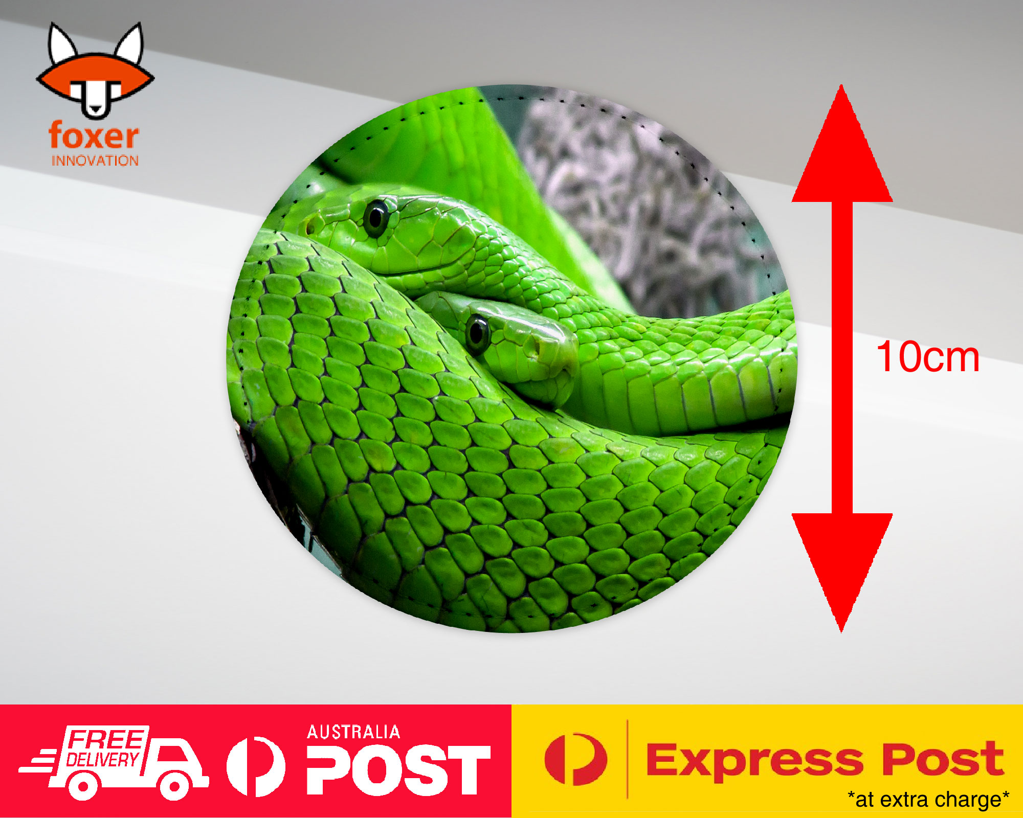 COASTER COFFEE DRINKING MAT|GREEN SLIMY REPTILE SNAKE