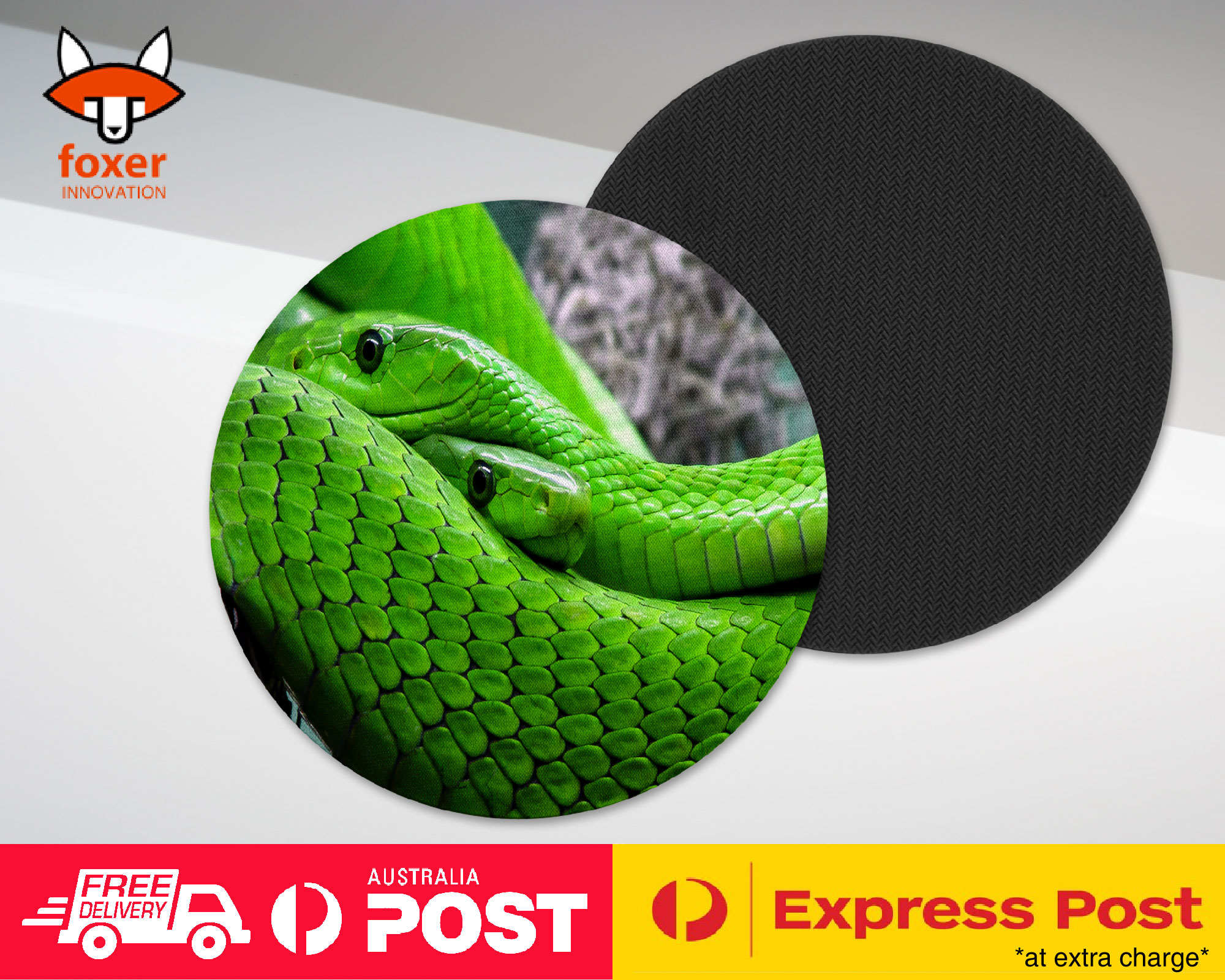 COASTER COFFEE DRINKING MAT|GREEN SLIMY REPTILE SNAKE