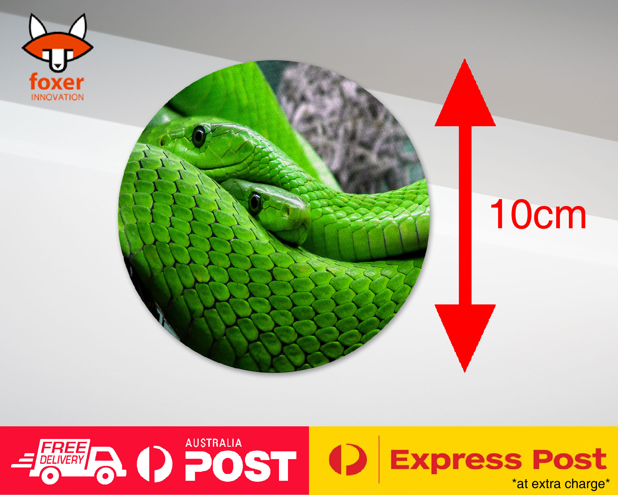 COASTER COFFEE DRINKING MAT|GREEN SLIMY REPTILE SNAKE