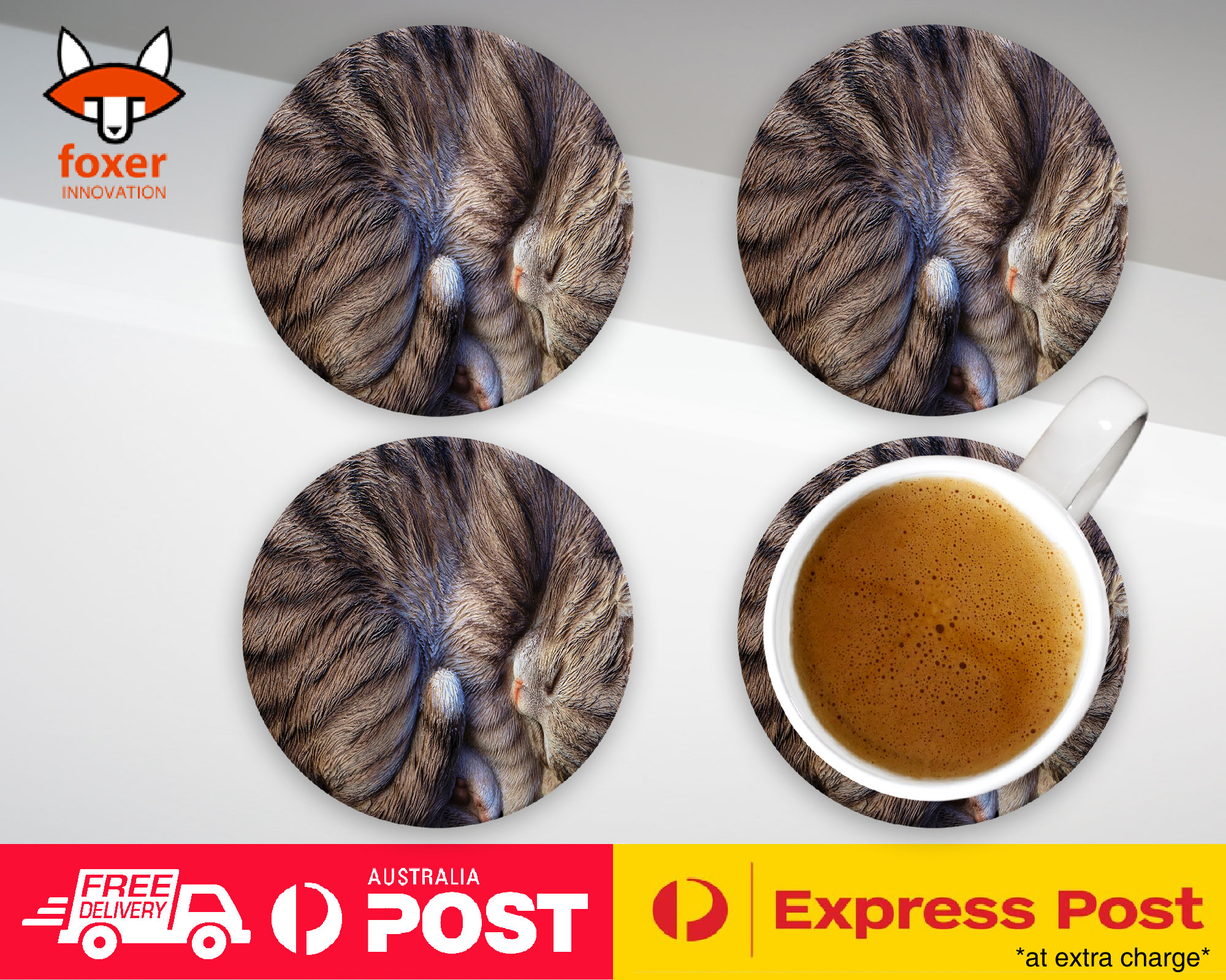 COASTER COFFEE DRINKING MAT|CUTE FAKE CAT KITTEN SLEEPING