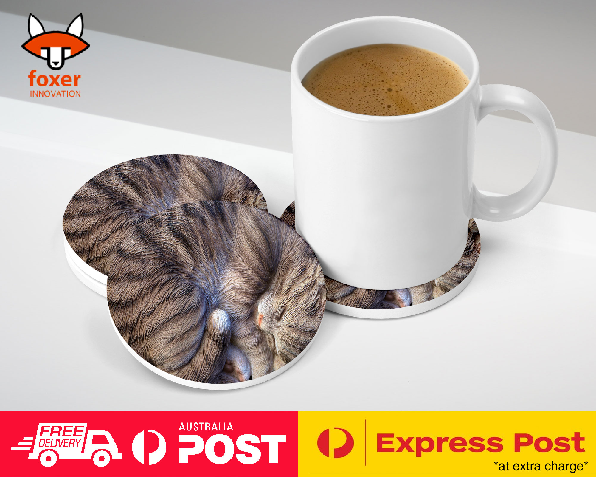 COASTER COFFEE DRINKING MAT|CUTE FAKE CAT KITTEN SLEEPING