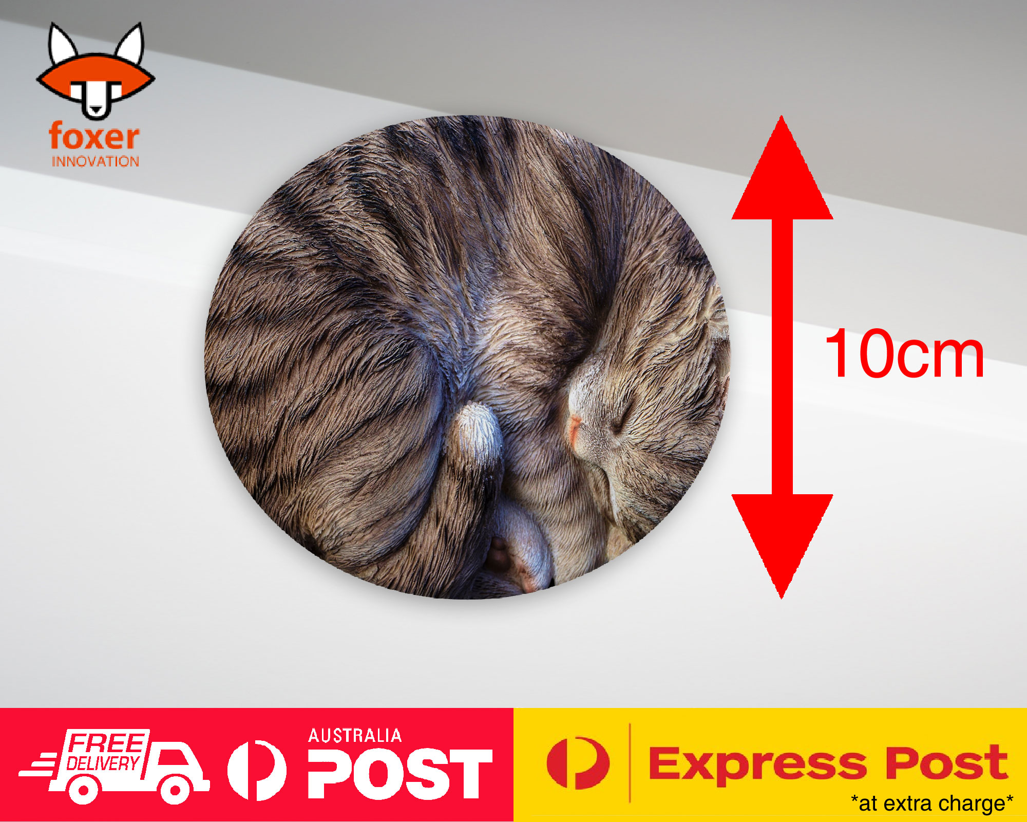 COASTER COFFEE DRINKING MAT|CUTE FAKE CAT KITTEN SLEEPING