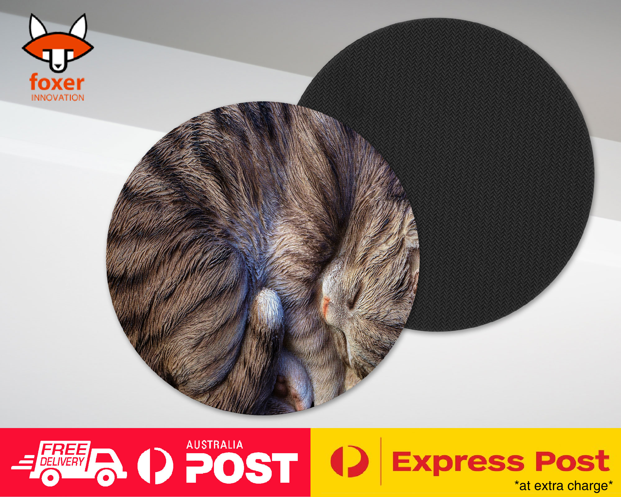COASTER COFFEE DRINKING MAT|CUTE FAKE CAT KITTEN SLEEPING