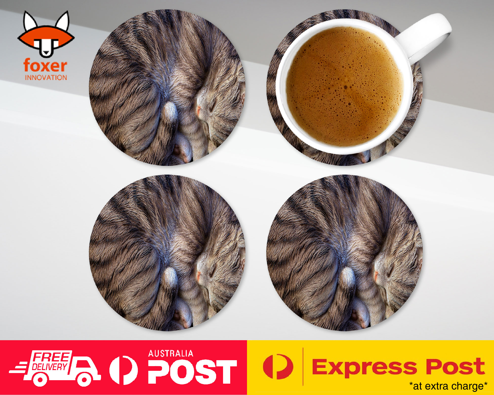 COASTER COFFEE DRINKING MAT|CUTE FAKE CAT KITTEN SLEEPING