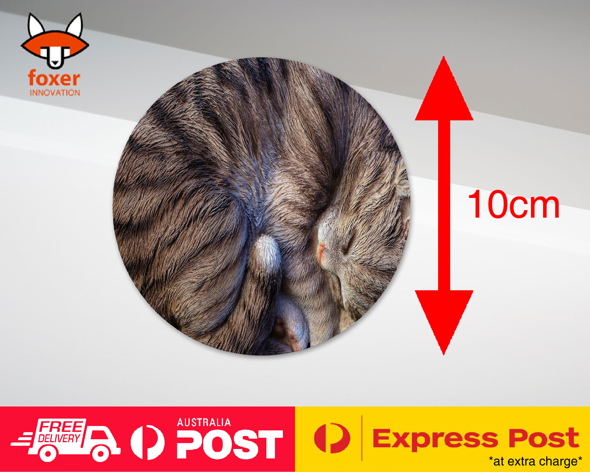 COASTER COFFEE DRINKING MAT|CUTE FAKE CAT KITTEN SLEEPING