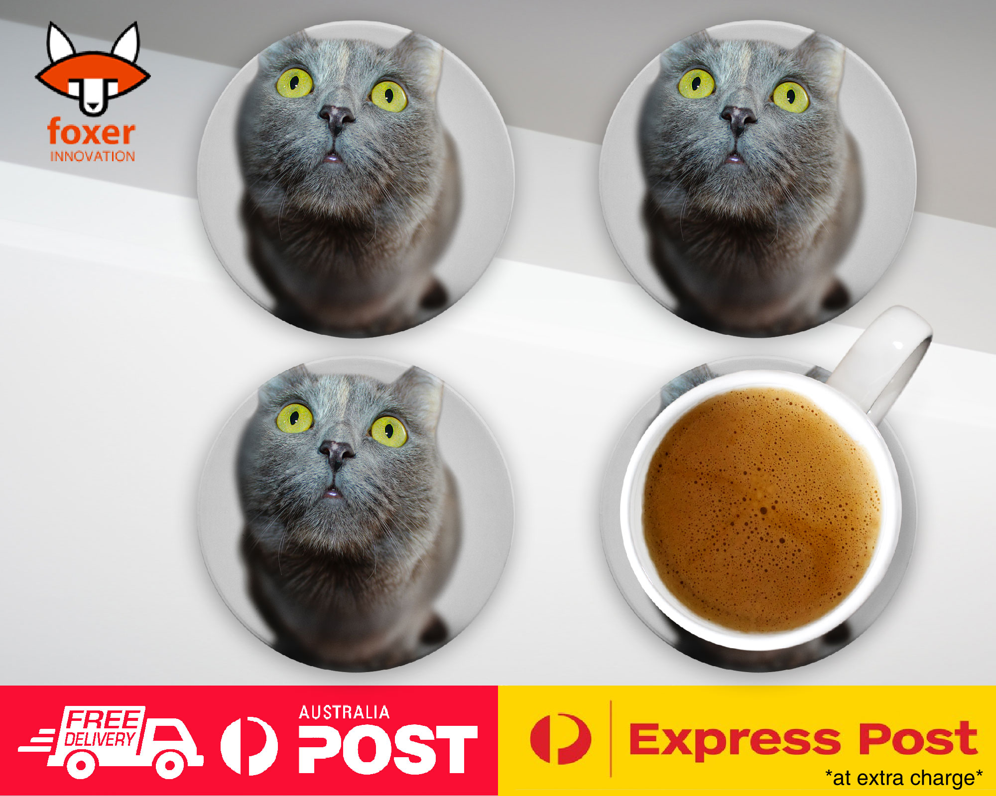 COASTER COFFEE DRINKING MAT|CUTE ADORABLE GREY CAT KITTEN