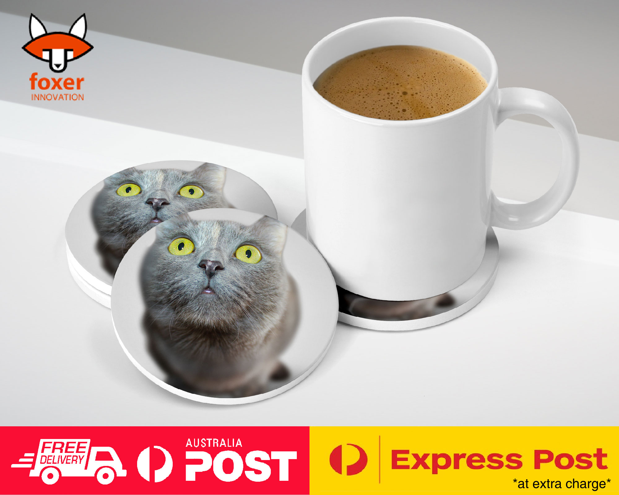 COASTER COFFEE DRINKING MAT|CUTE ADORABLE GREY CAT KITTEN