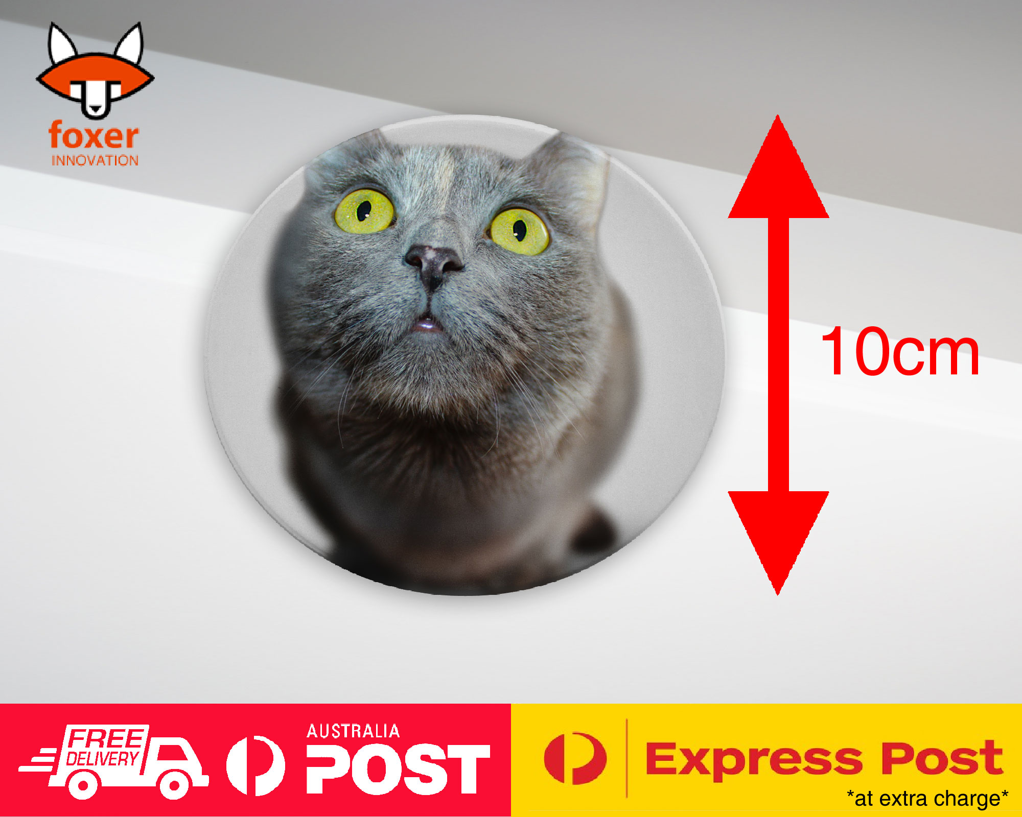 COASTER COFFEE DRINKING MAT|CUTE ADORABLE GREY CAT KITTEN