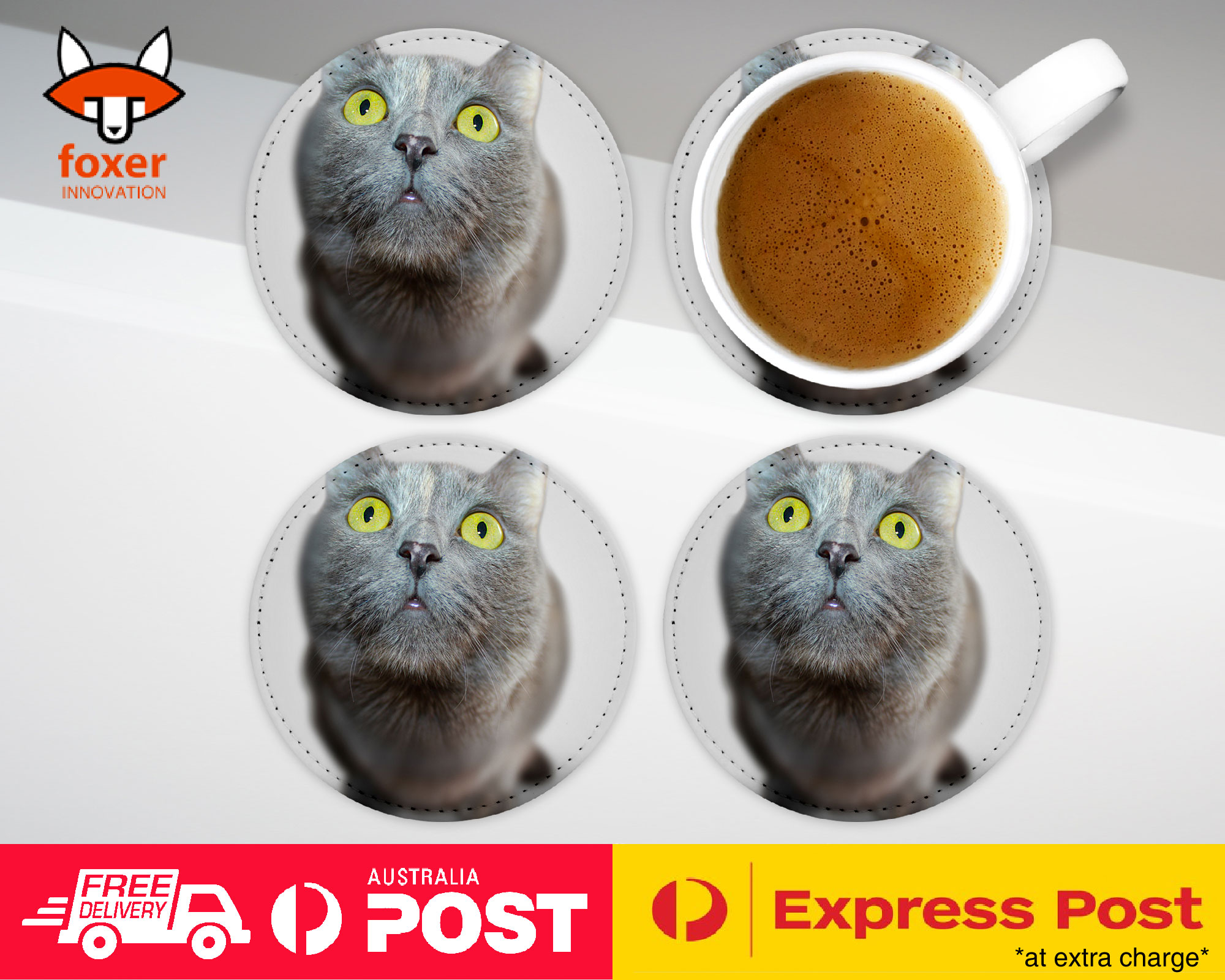 COASTER COFFEE DRINKING MAT|CUTE ADORABLE GREY CAT KITTEN