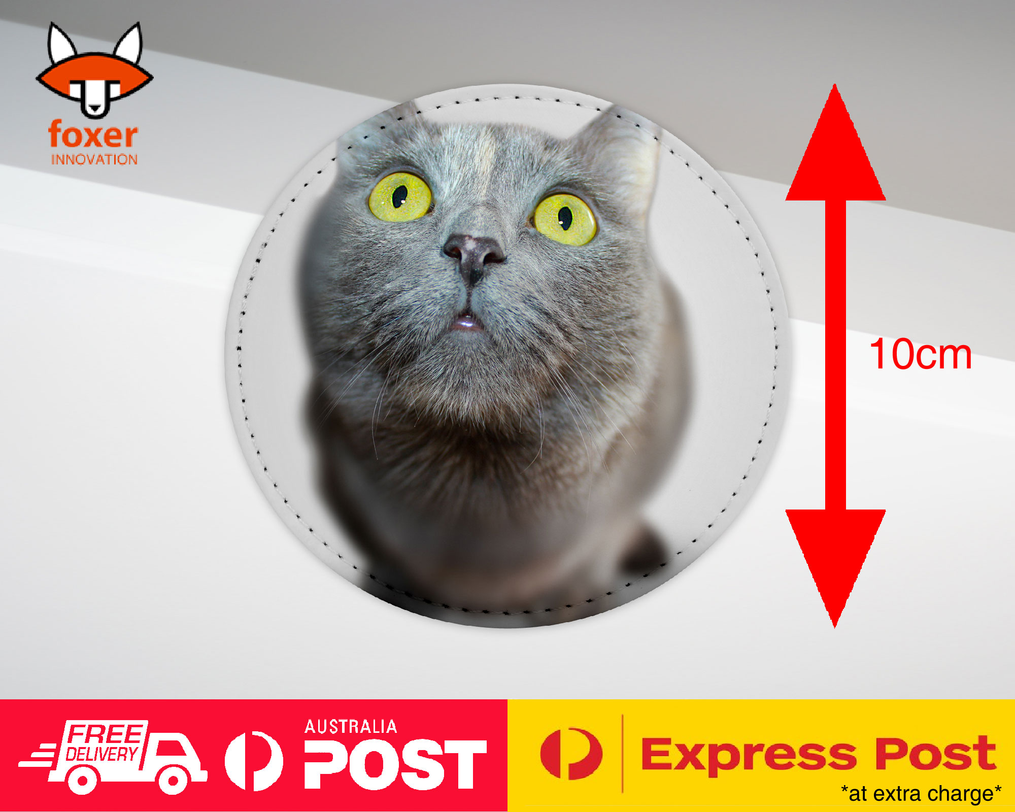 COASTER COFFEE DRINKING MAT|CUTE ADORABLE GREY CAT KITTEN