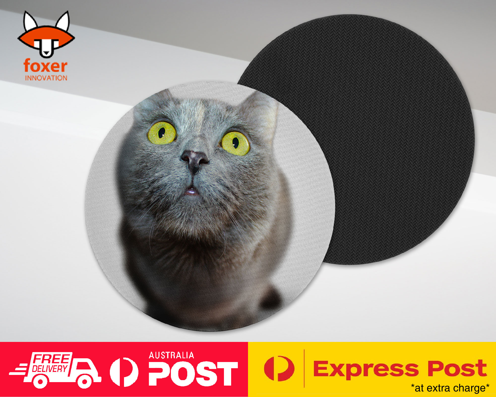 COASTER COFFEE DRINKING MAT|CUTE ADORABLE GREY CAT KITTEN