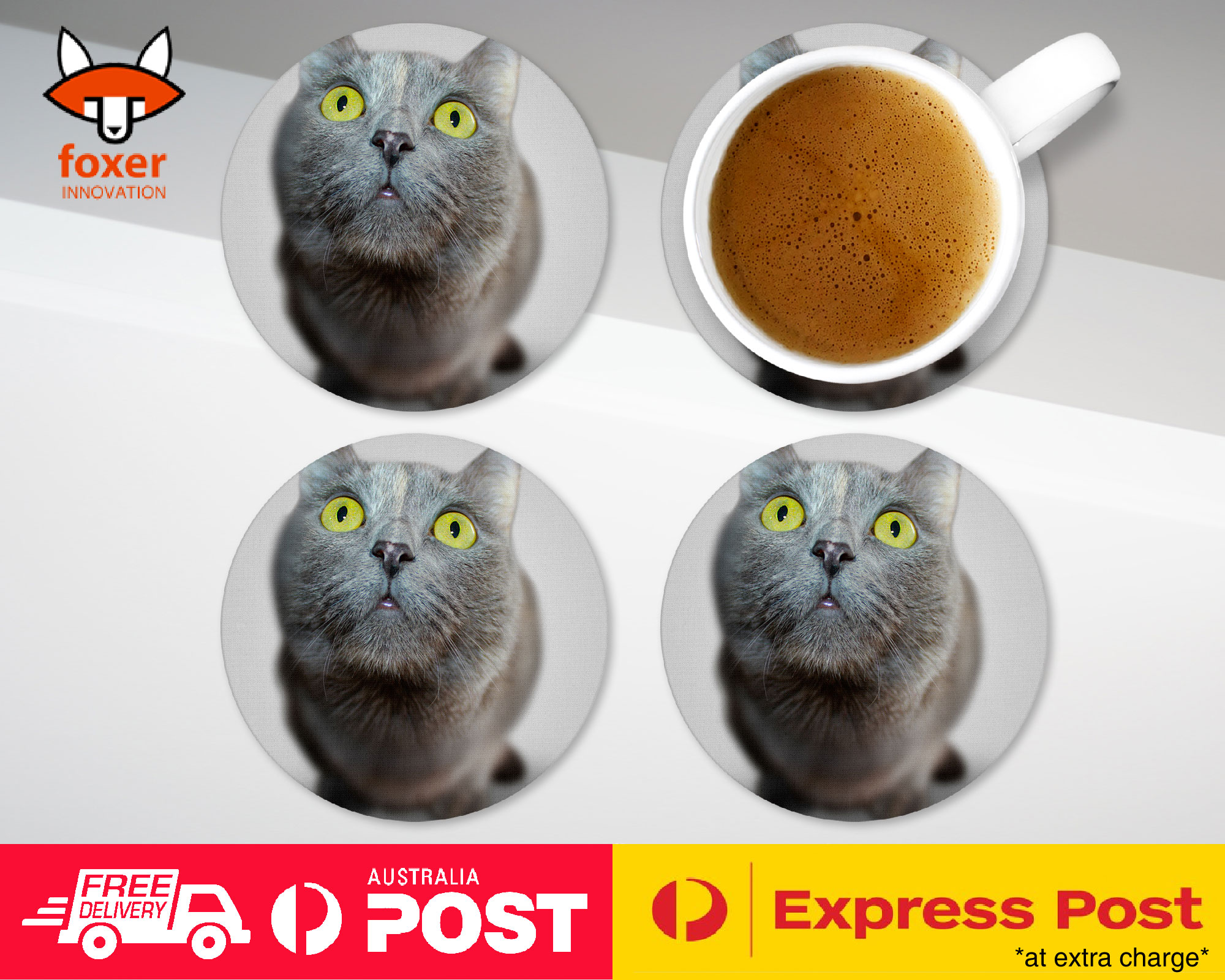 COASTER COFFEE DRINKING MAT|CUTE ADORABLE GREY CAT KITTEN