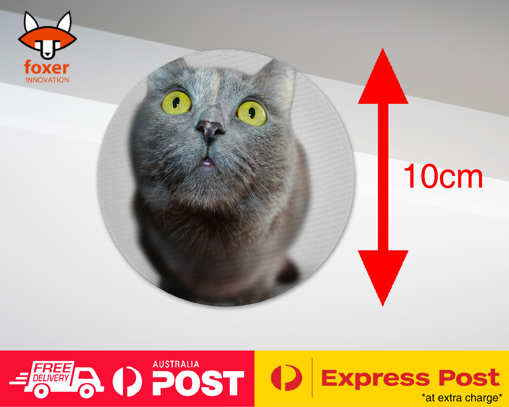 COASTER COFFEE DRINKING MAT|CUTE ADORABLE GREY CAT KITTEN