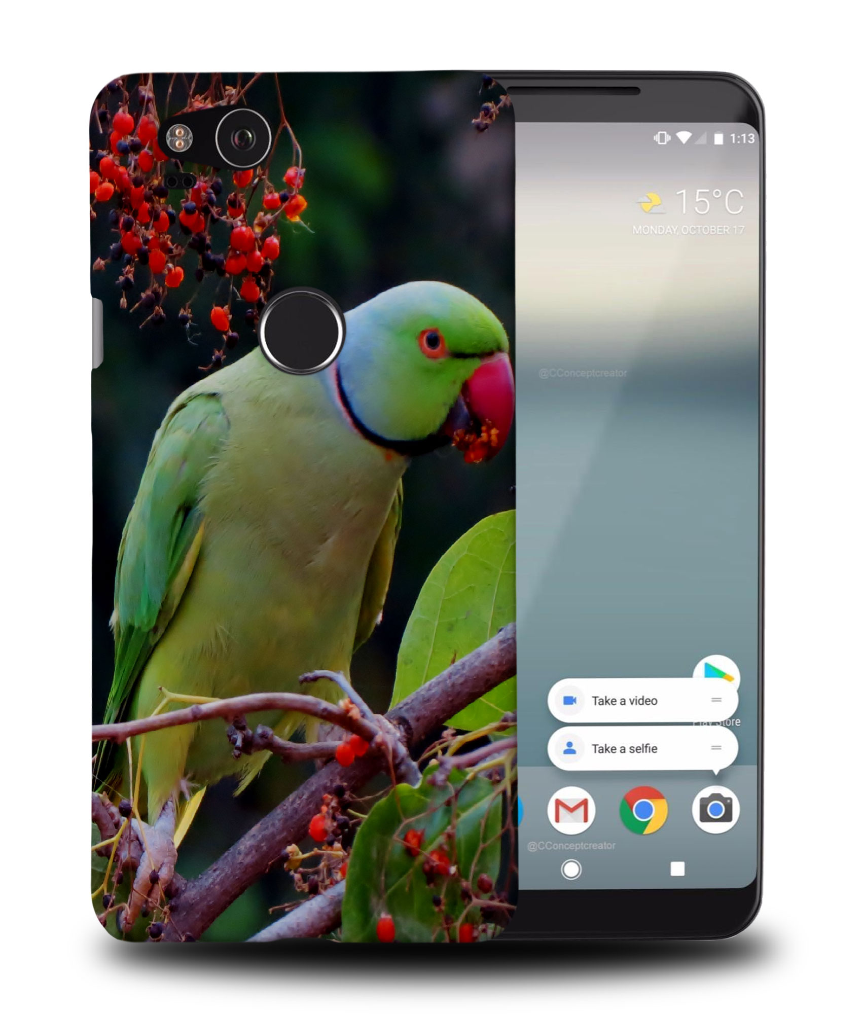 CASE COVER FOR GOOGLE PIXEL|CUTE GREEN PARROT BIRD - Picture 9 of 11