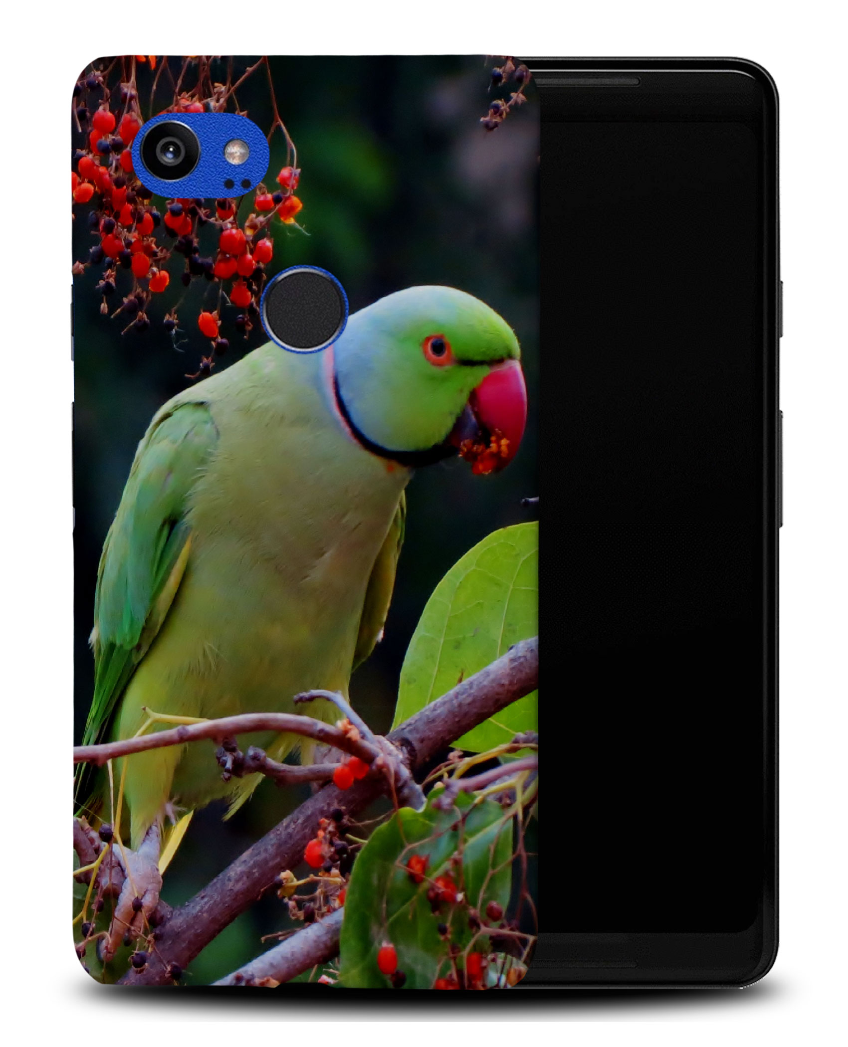 CASE COVER FOR GOOGLE PIXEL|CUTE GREEN PARROT BIRD - Picture 8 of 11