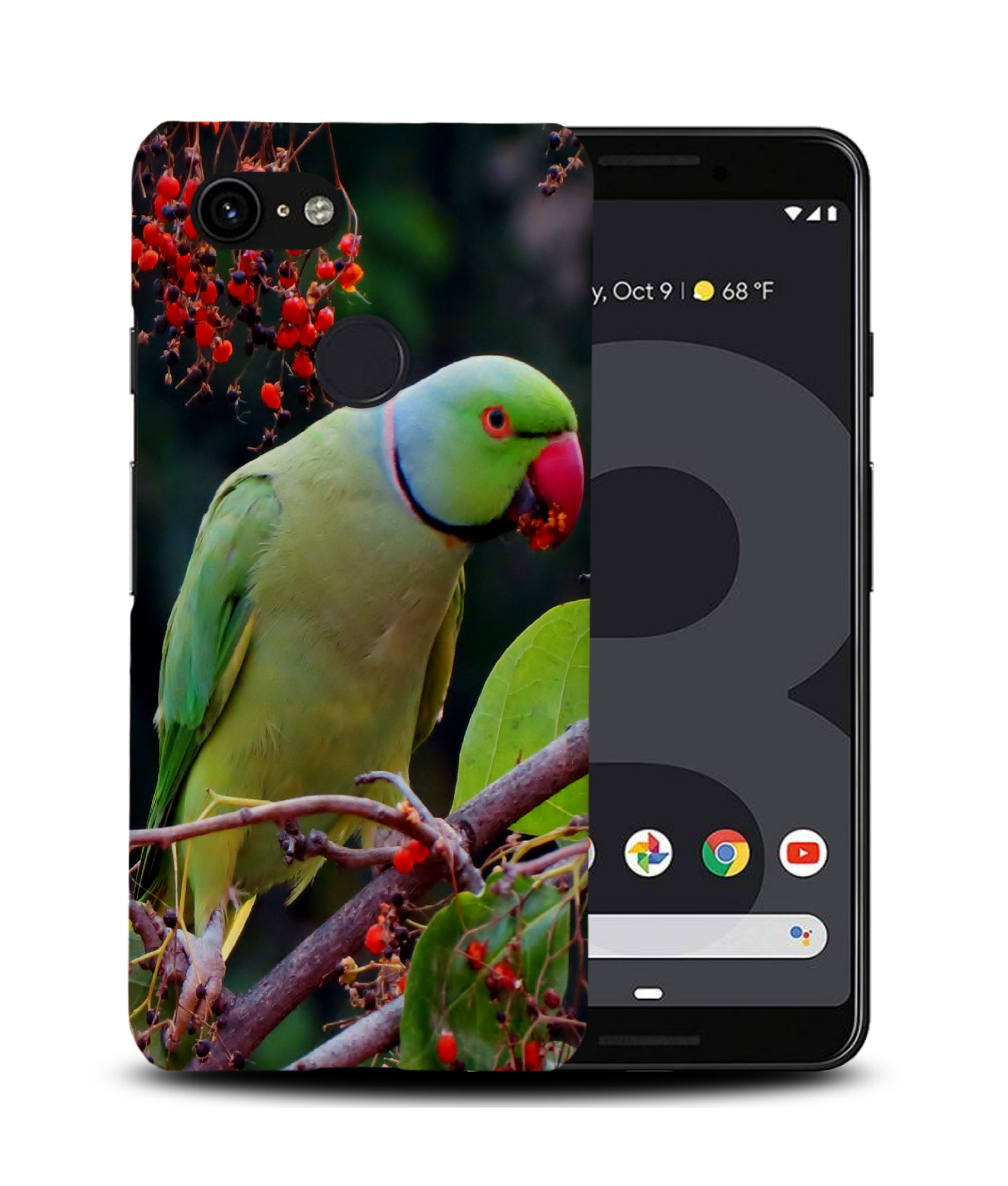 CASE COVER FOR GOOGLE PIXEL|CUTE GREEN PARROT BIRD - Picture 7 of 11