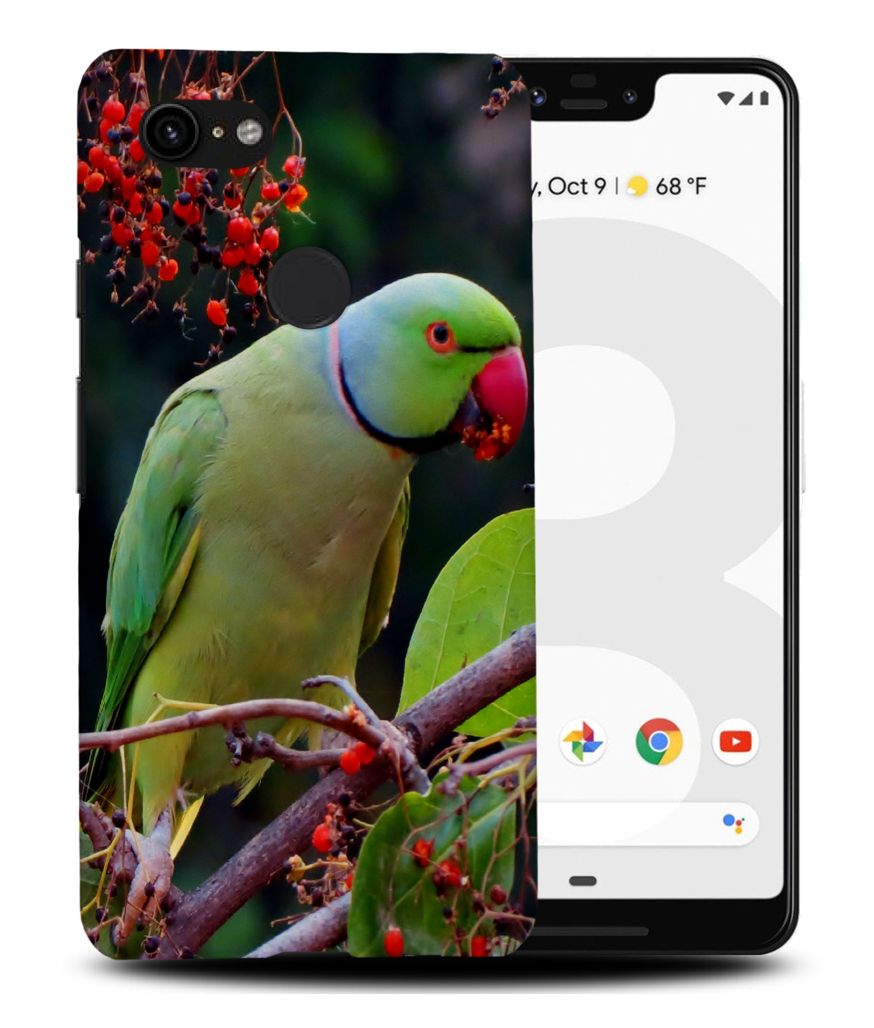 CASE COVER FOR GOOGLE PIXEL|CUTE GREEN PARROT BIRD - Picture 6 of 11