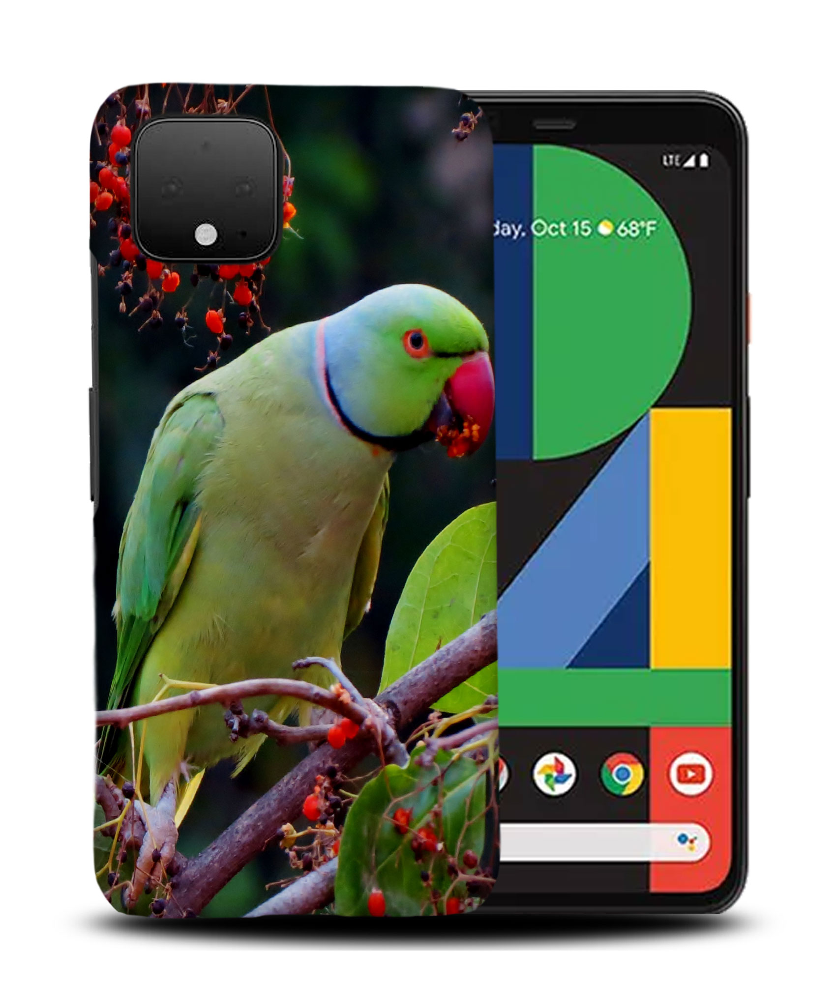 CASE COVER FOR GOOGLE PIXEL|CUTE GREEN PARROT BIRD - Picture 5 of 11