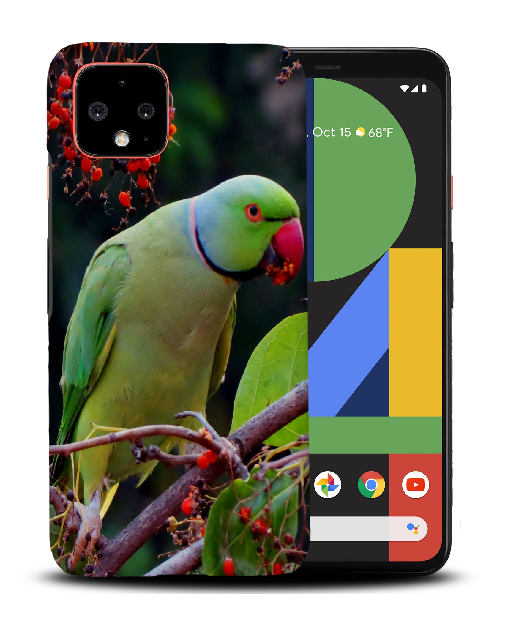 CASE COVER FOR GOOGLE PIXEL|CUTE GREEN PARROT BIRD - Picture 4 of 11